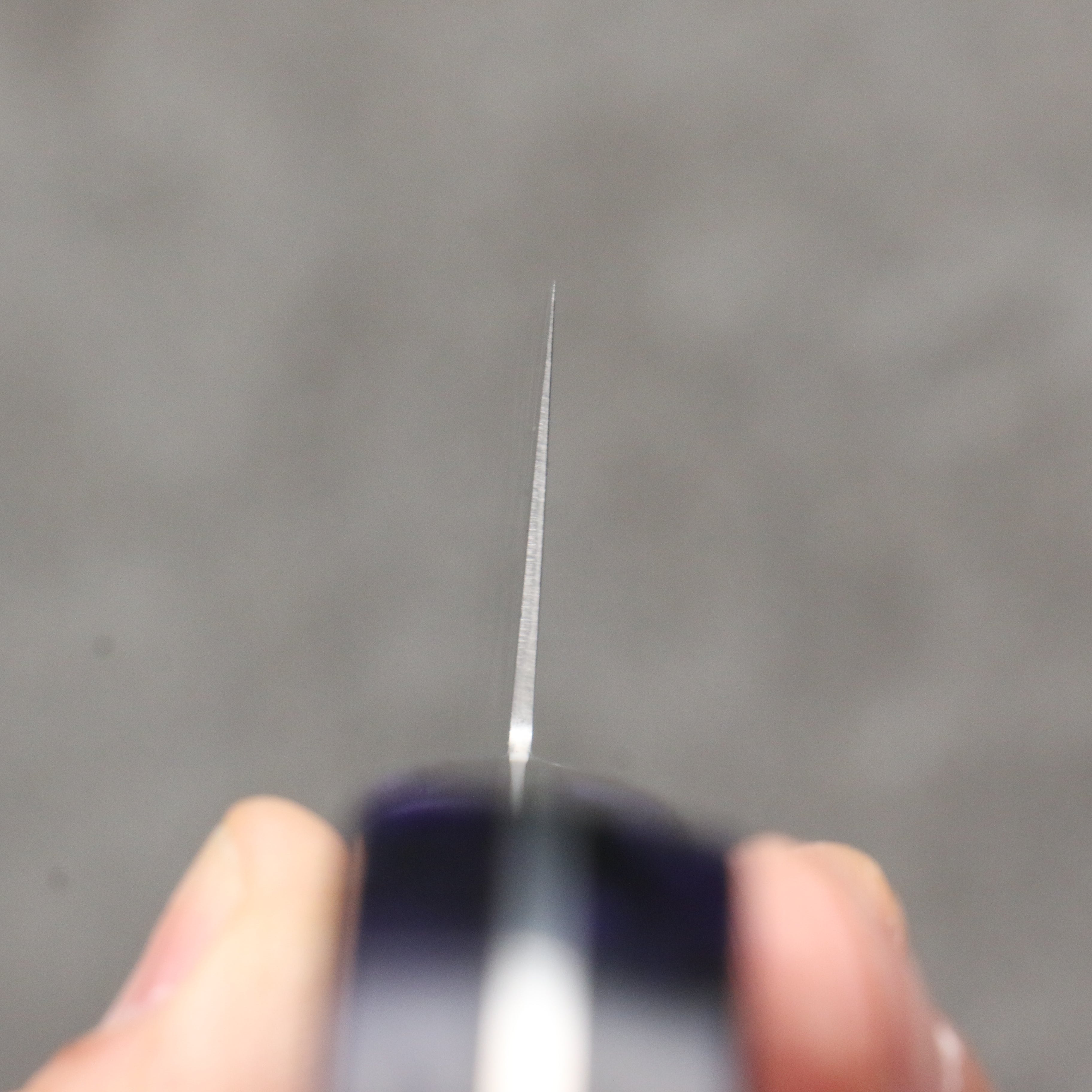 Seisuke VG5 Migaki Finished Gyuto 210mm Purple Marbled Resin Handle - Japanny - Best Japanese Knife