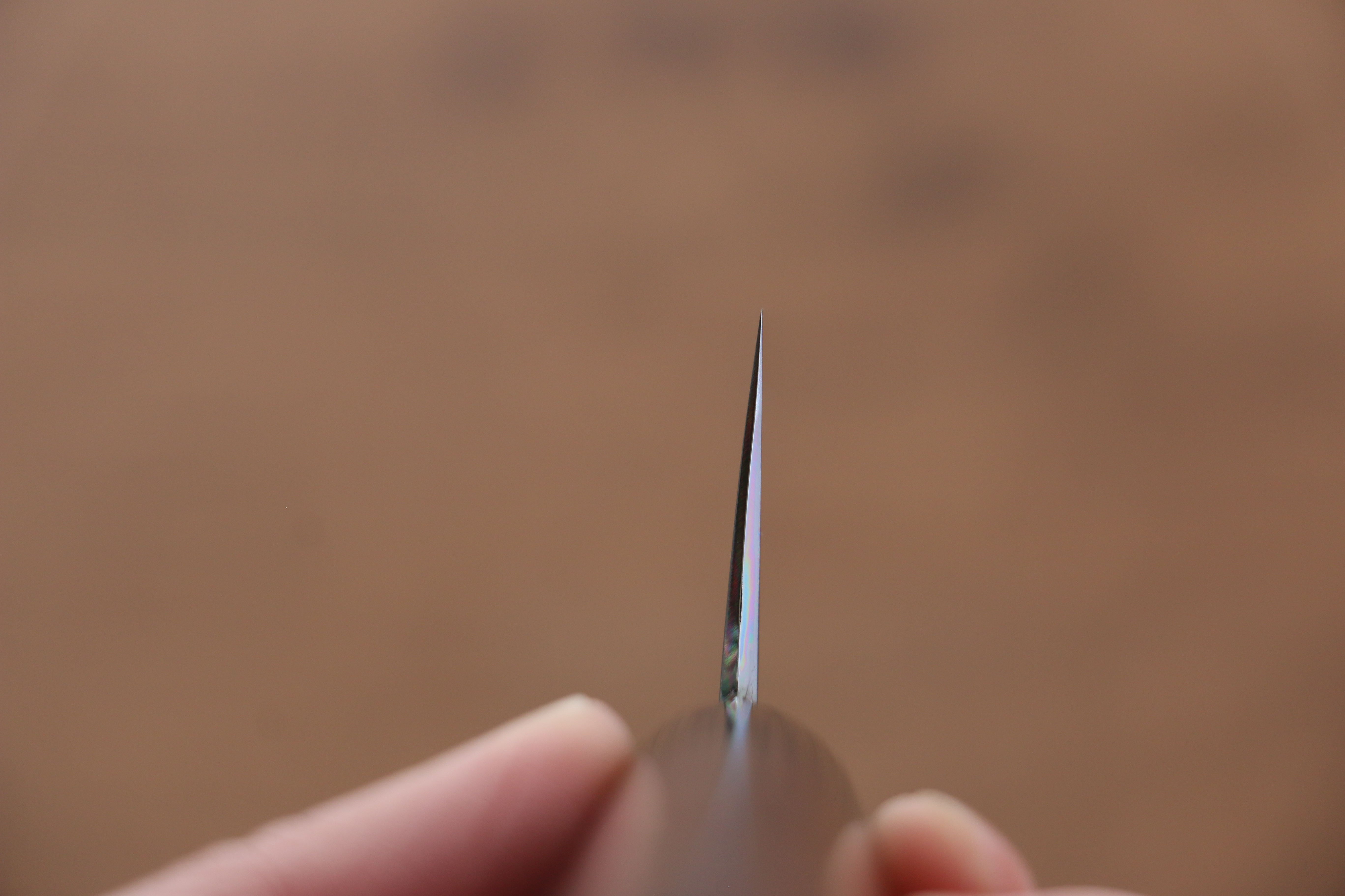 Jikko White Steel No.2 Gyuto 210mm Shitan Handle - Japanny - Best Japanese Knife