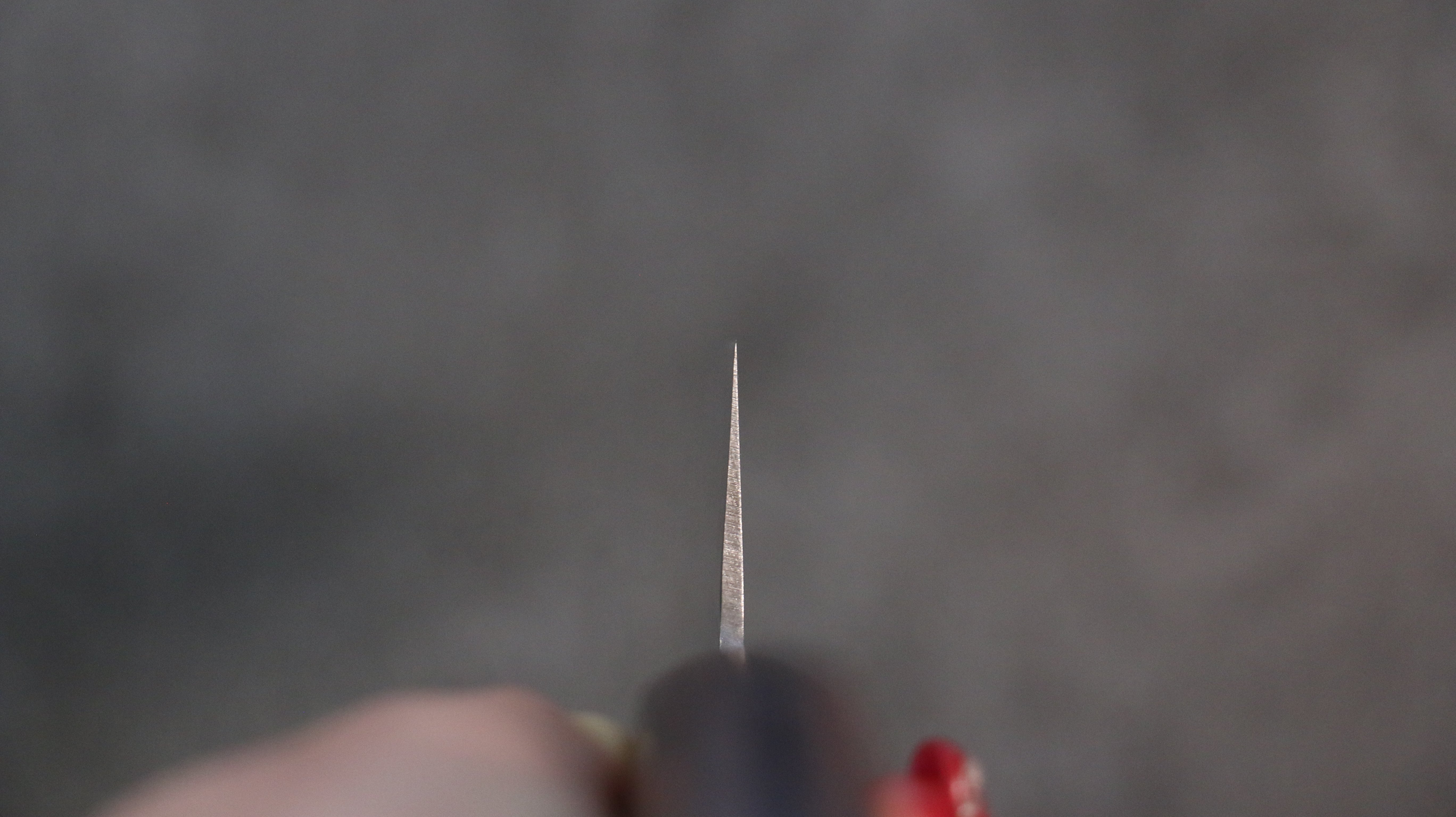 Seisuke Swedish Steel-stn Hammered Gyuto 180mm Mahogany Handle - Japanny - Best Japanese Knife