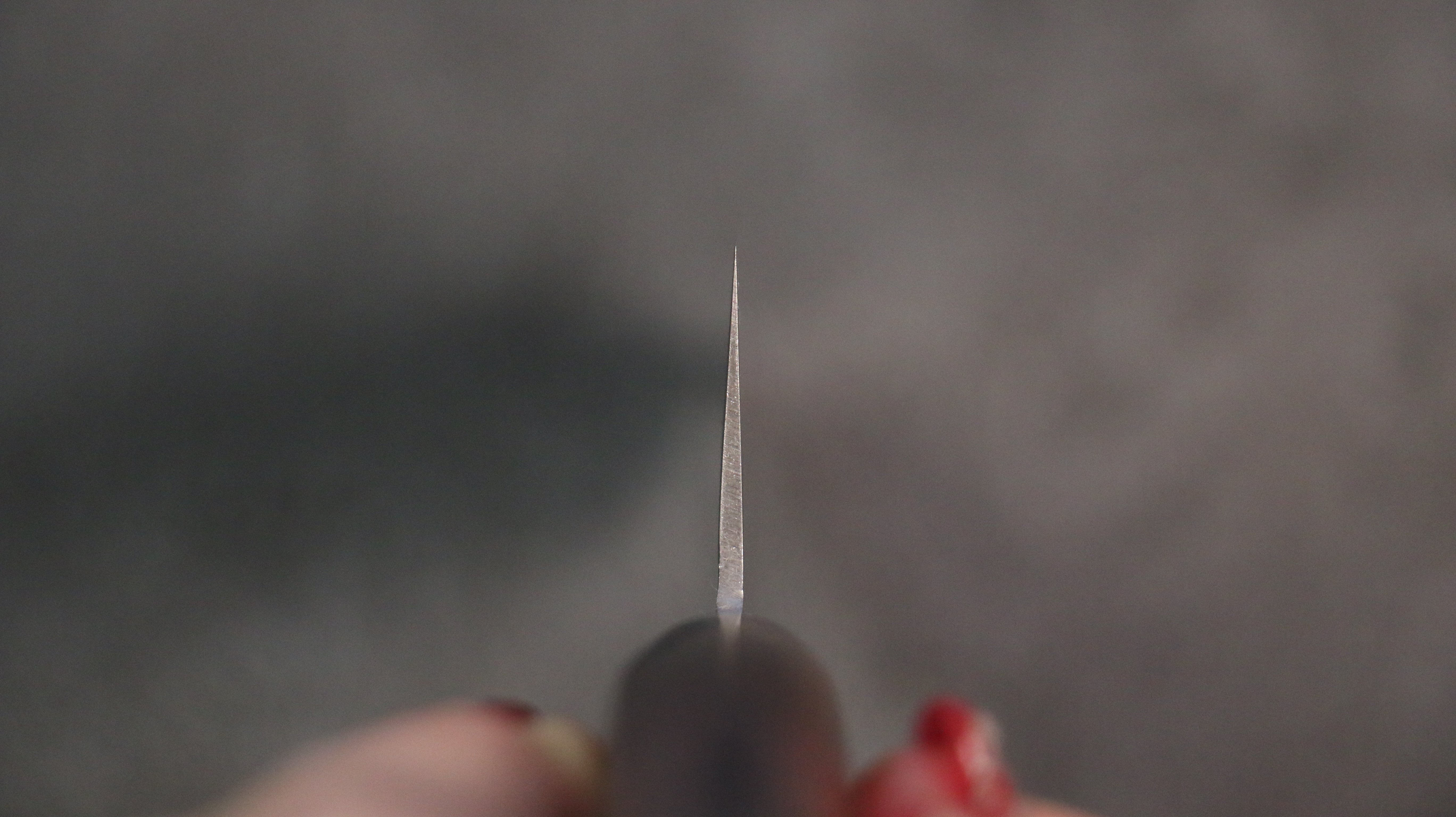 Seisuke Swedish Steel-stn Hammered Gyuto 210mm Mahogany Handle - Japanny - Best Japanese Knife