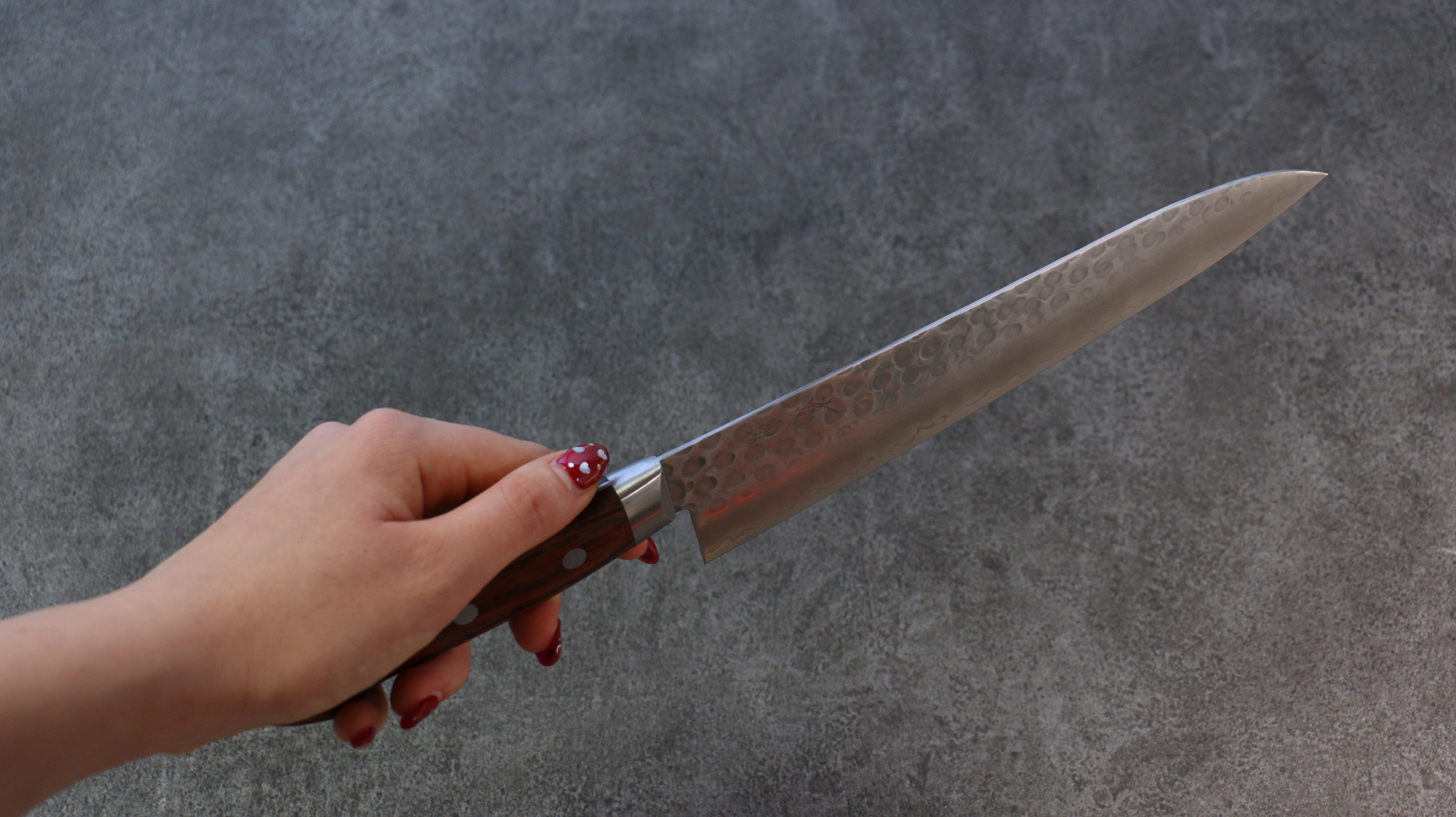 Seisuke Swedish Steel-stn Hammered Gyuto 210mm Mahogany Handle - Japanny - Best Japanese Knife