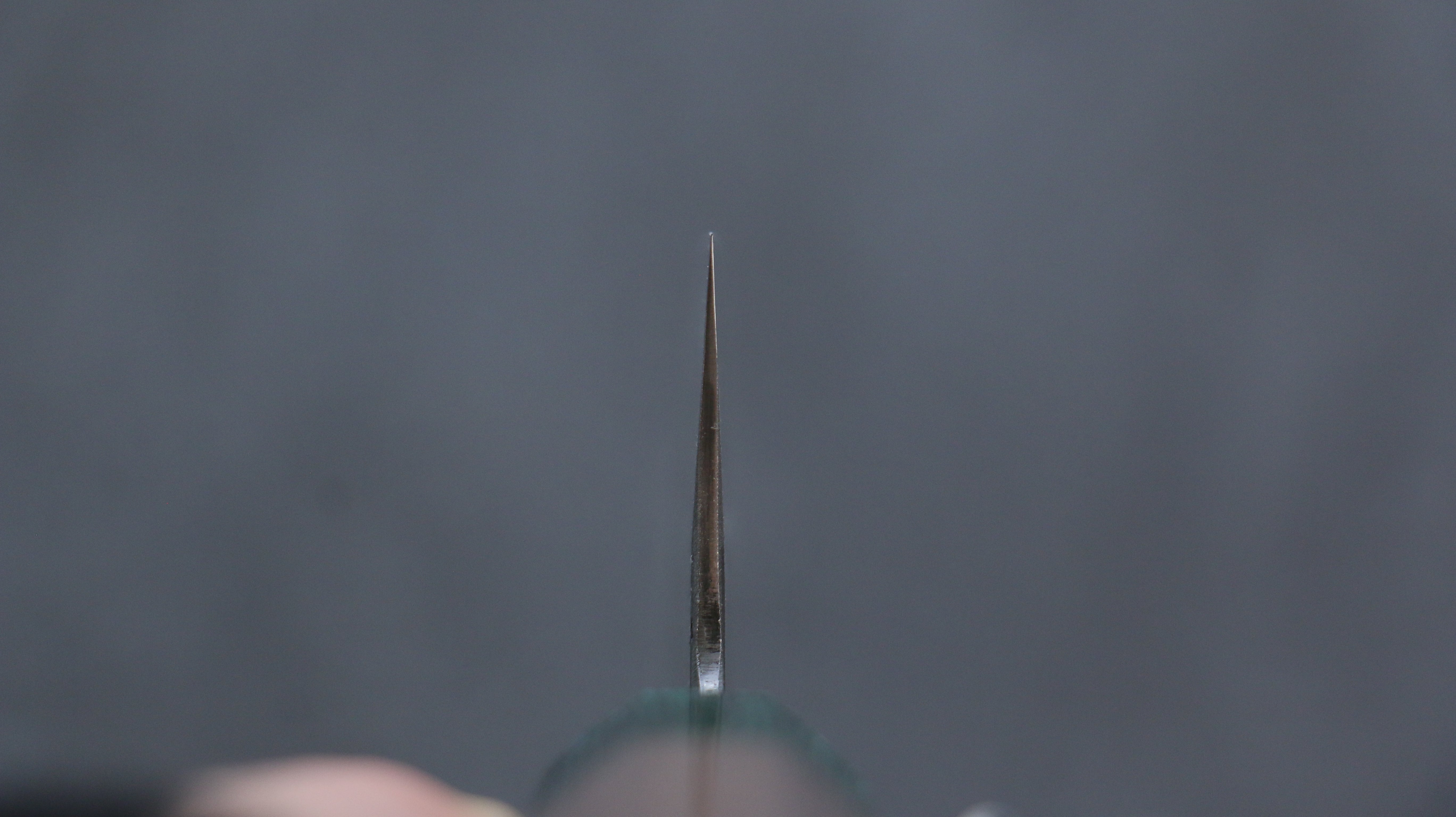 Seisuke Blue Super Hammered Santoku 165mm Walnut (With Double Green Pakka wood) Handle - Japanny - Best Japanese Knife