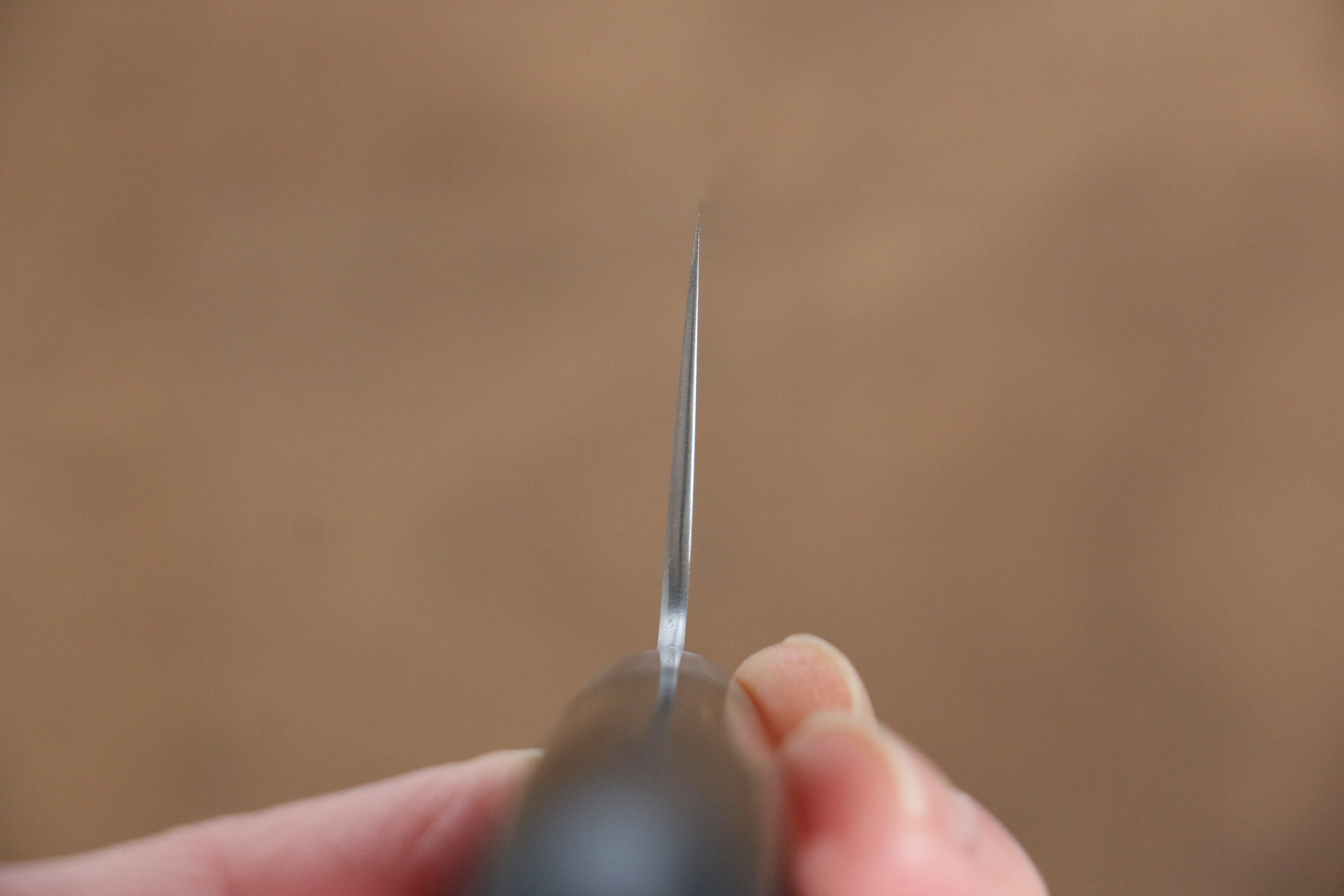 Takamura Knives VG10 Migaki Finished Gyuto 210mm Black Pakka wood Handle - Japanny - Best Japanese Knife