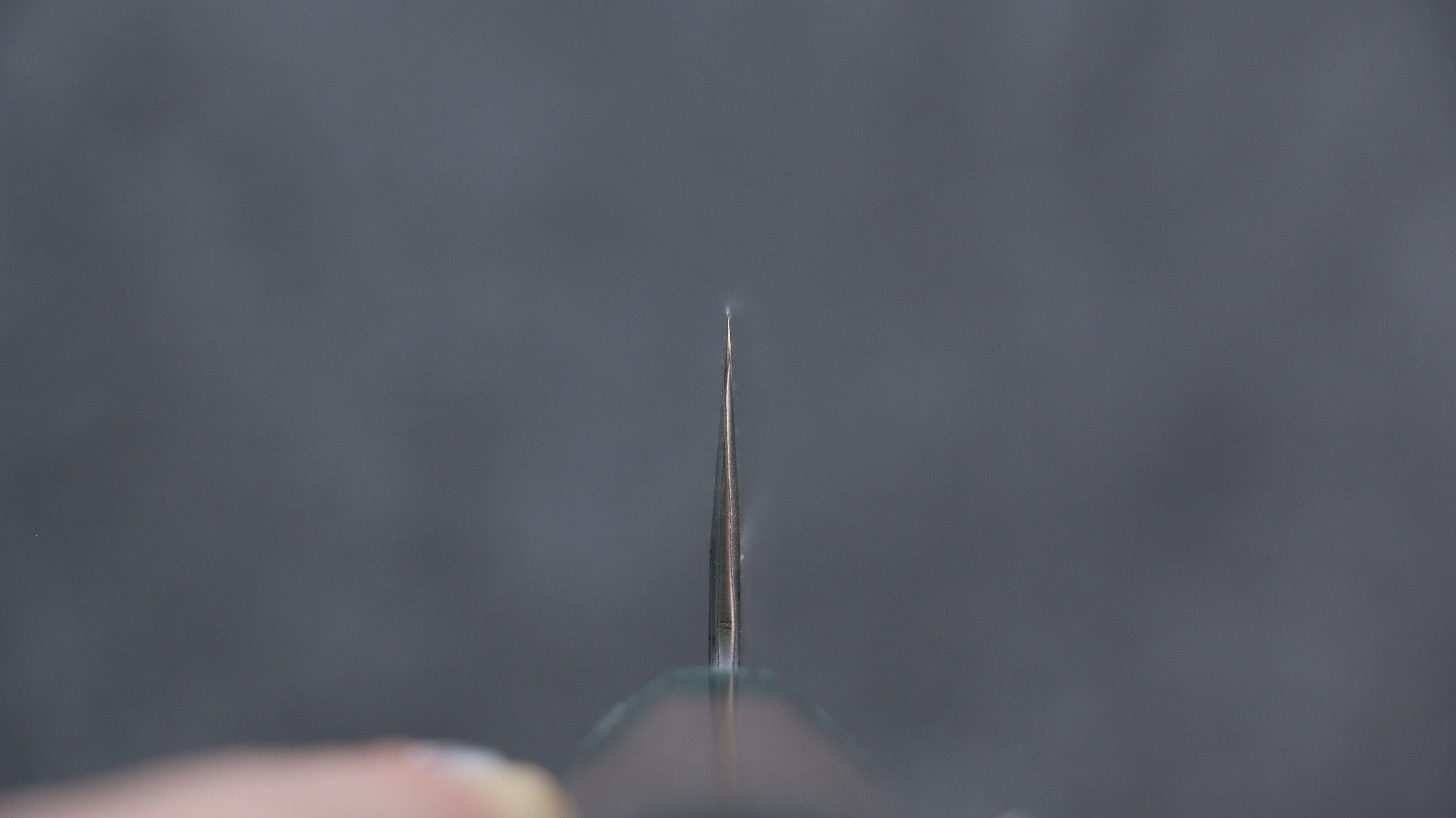 Seisuke Blue Super Hammered Nakiri 165mm Walnut (With Double Green Pakka wood) Handle - Japanny - Best Japanese Knife