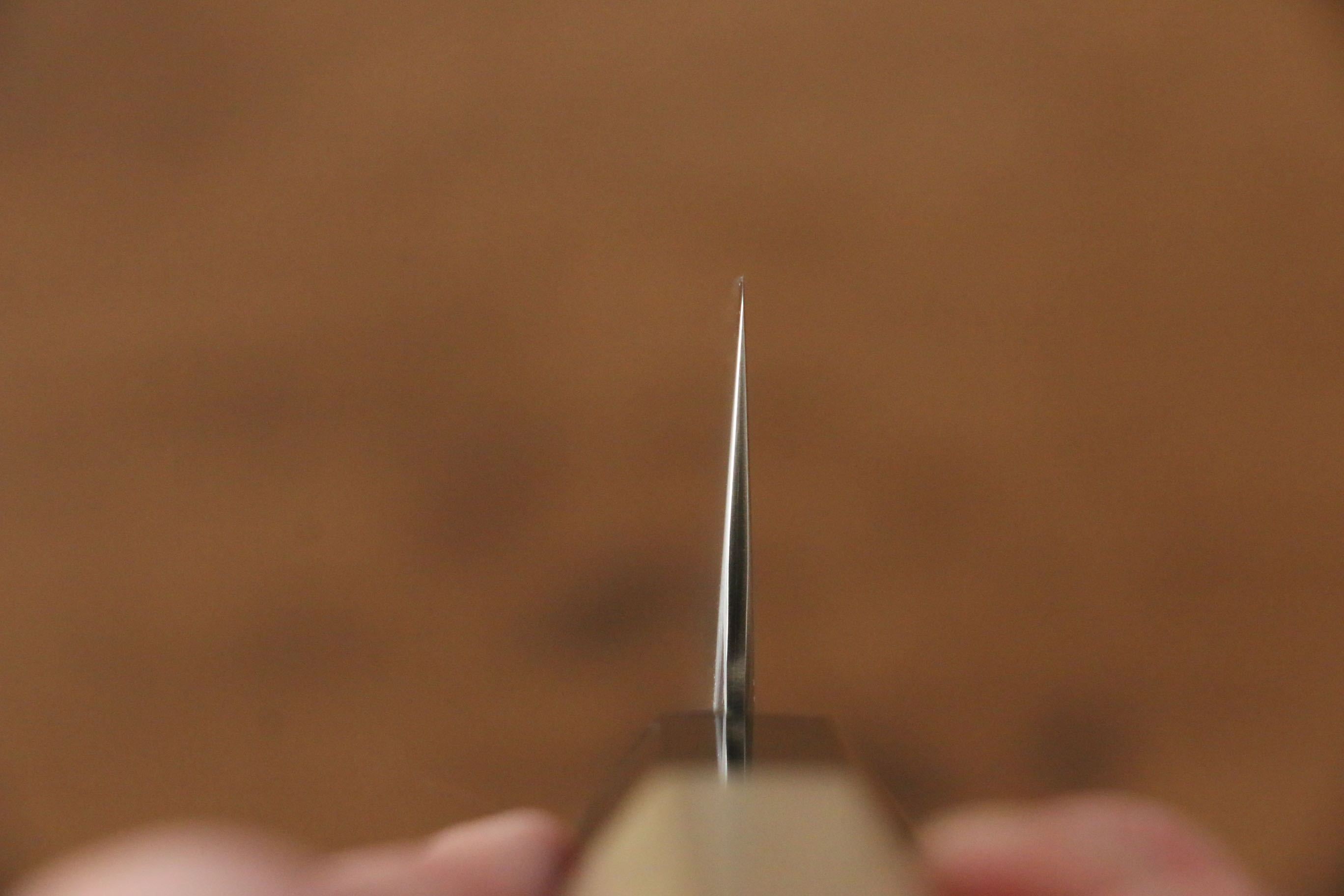 Jikko SG2 Gyuto 180mm Magnolia Handle - Japanny - Best Japanese Knife