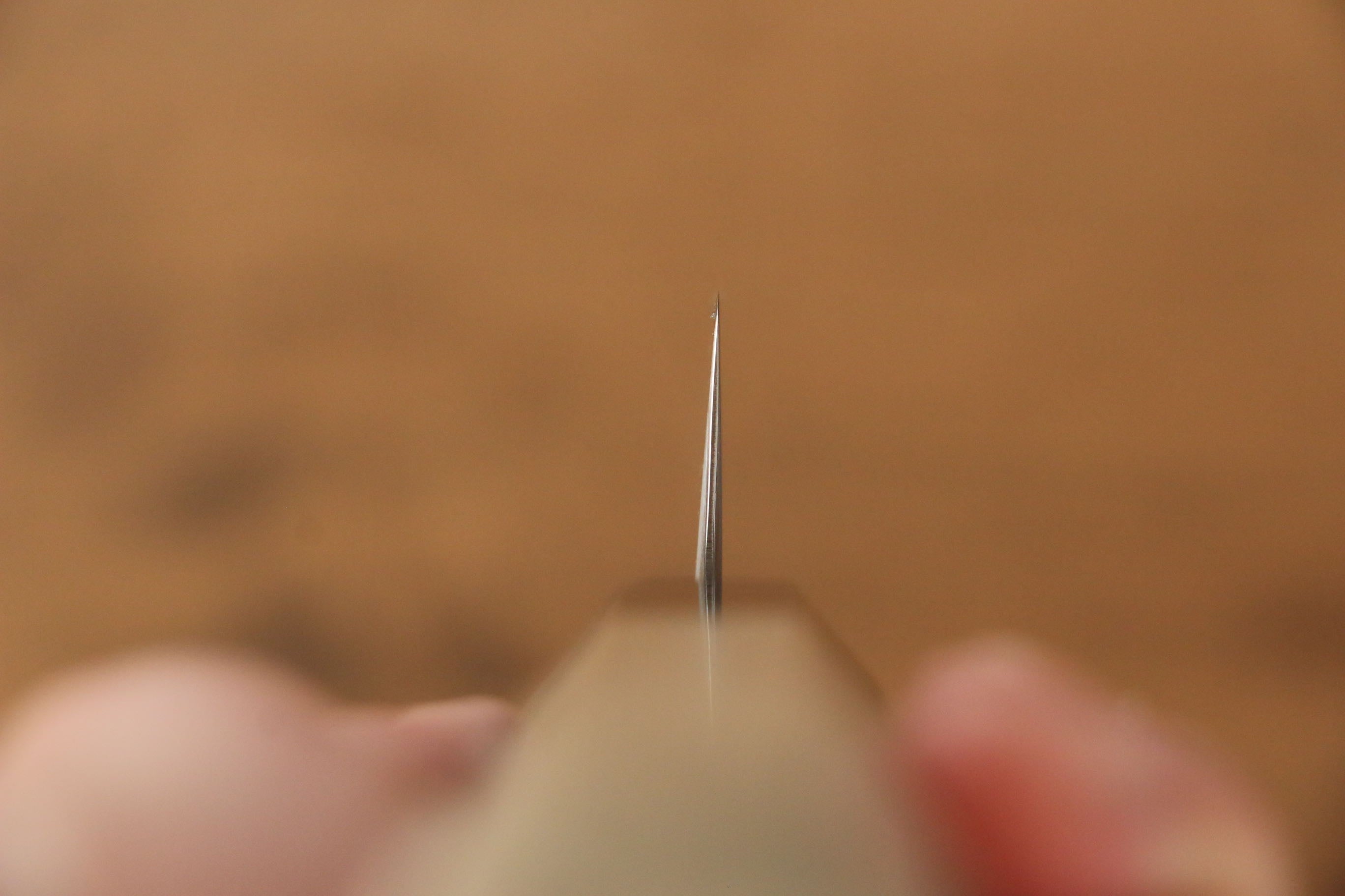 Jikko SG2 Sujihiki 240mm Magnolia Handle - Japanny - Best Japanese Knife