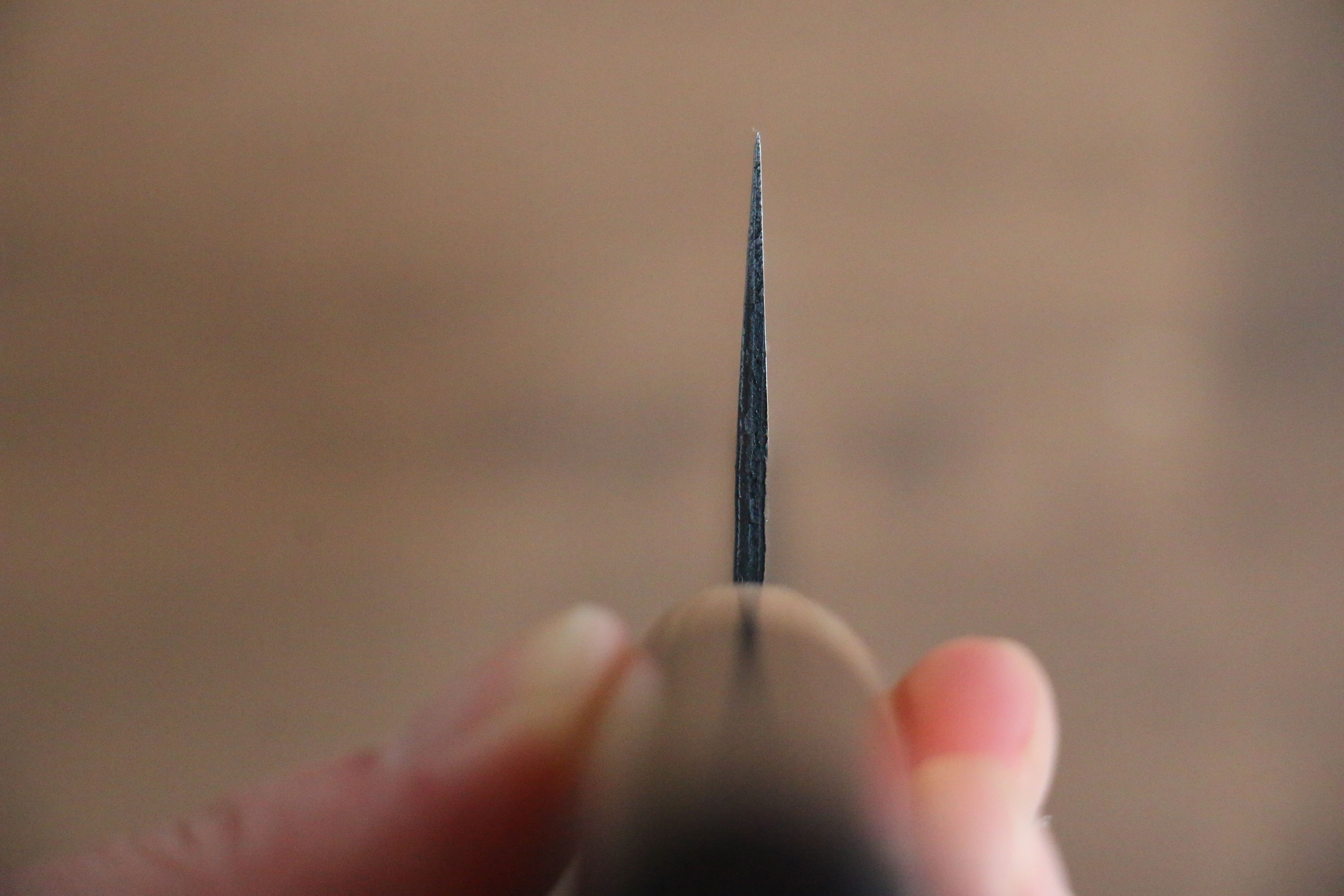 Seisuke Blue Super Hammered Kurouchi Kiritsuke 210mm Rosewood Handle - Japanny - Best Japanese Knife