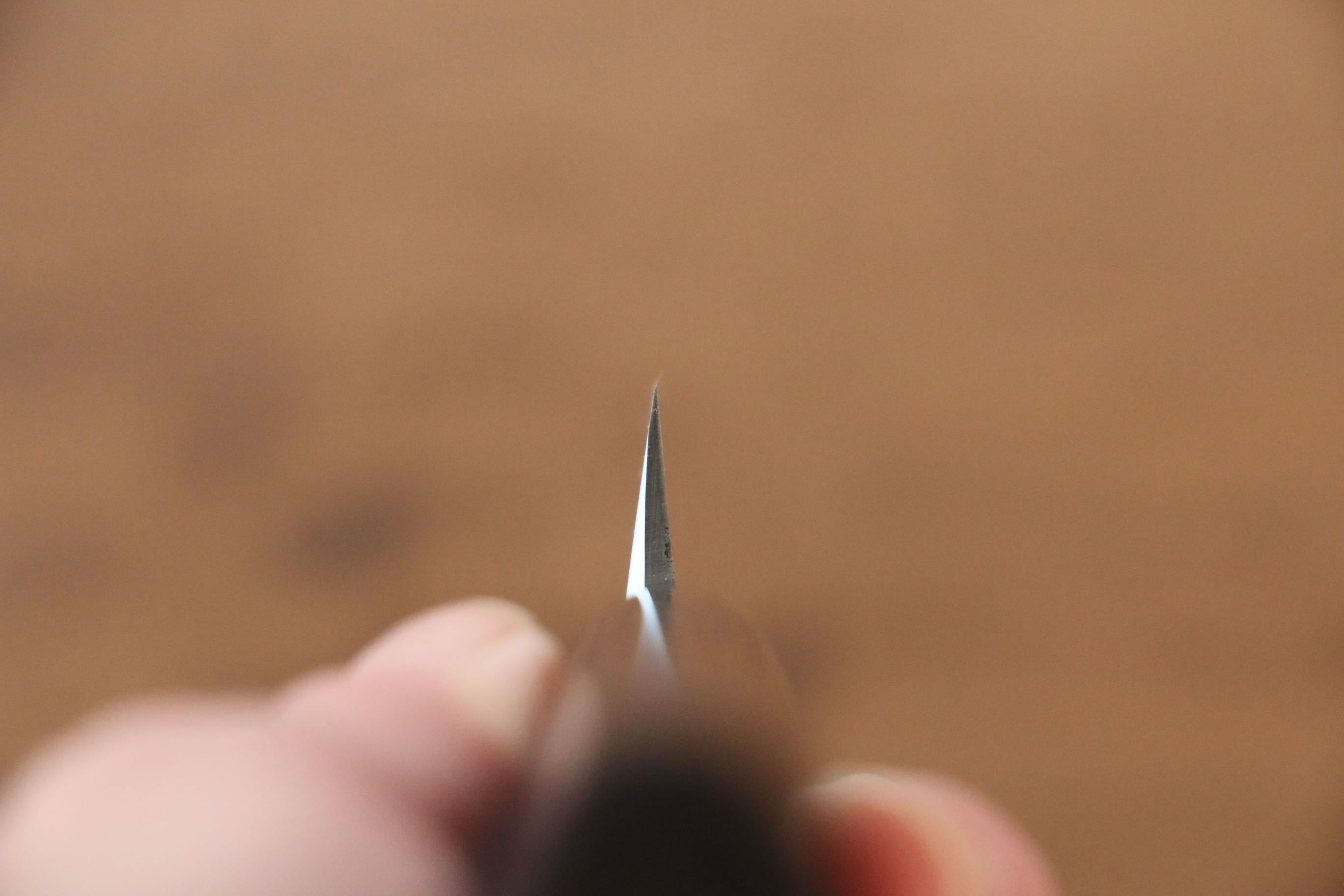 Jikko White Steel No.2 Sakimaru Yanagiba 210mm Shitan Handle - Japanny - Best Japanese Knife