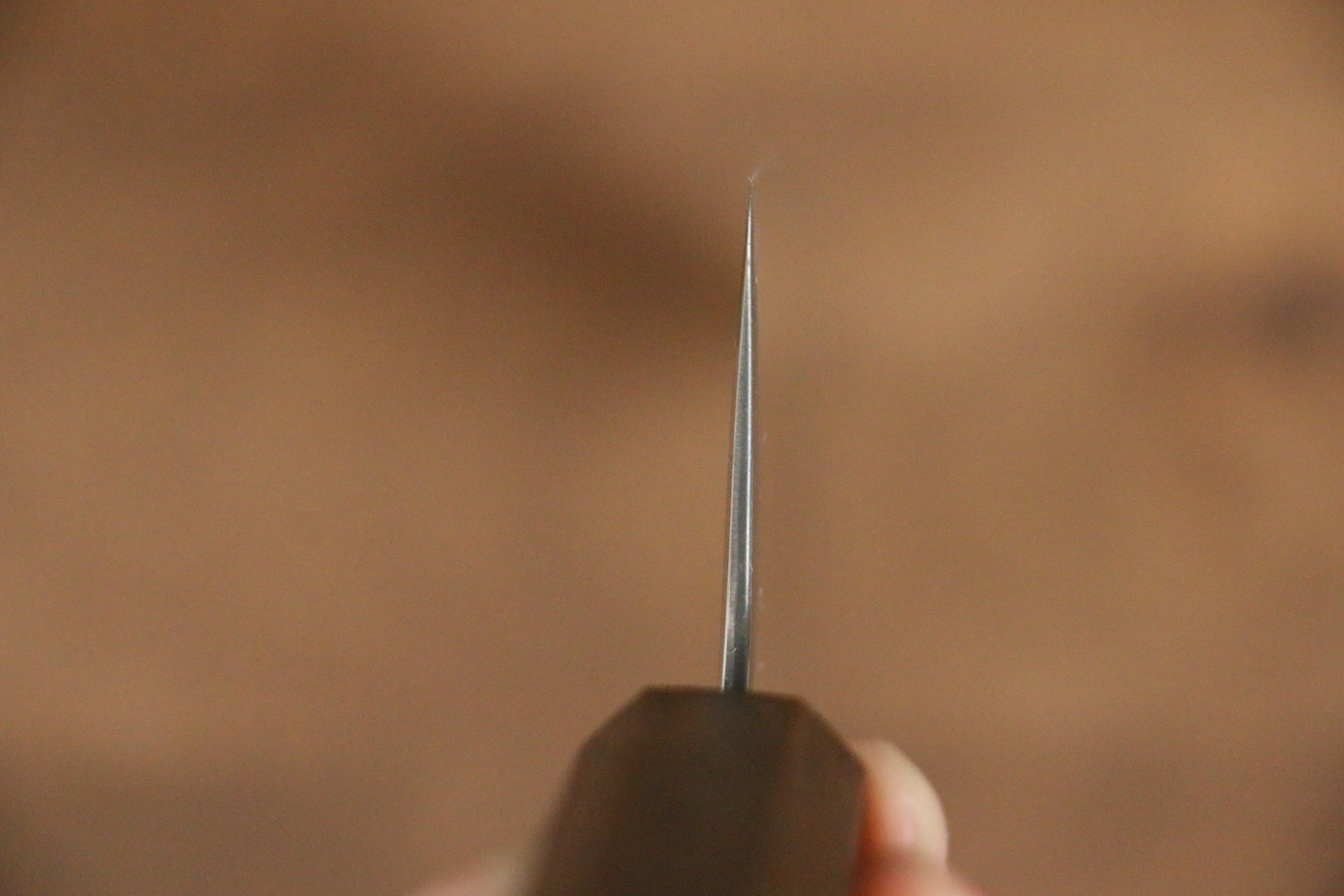 Seisuke VG10 Mirrored Finish Damascus Gyuto 210mm Oak Handle - Japanny - Best Japanese Knife