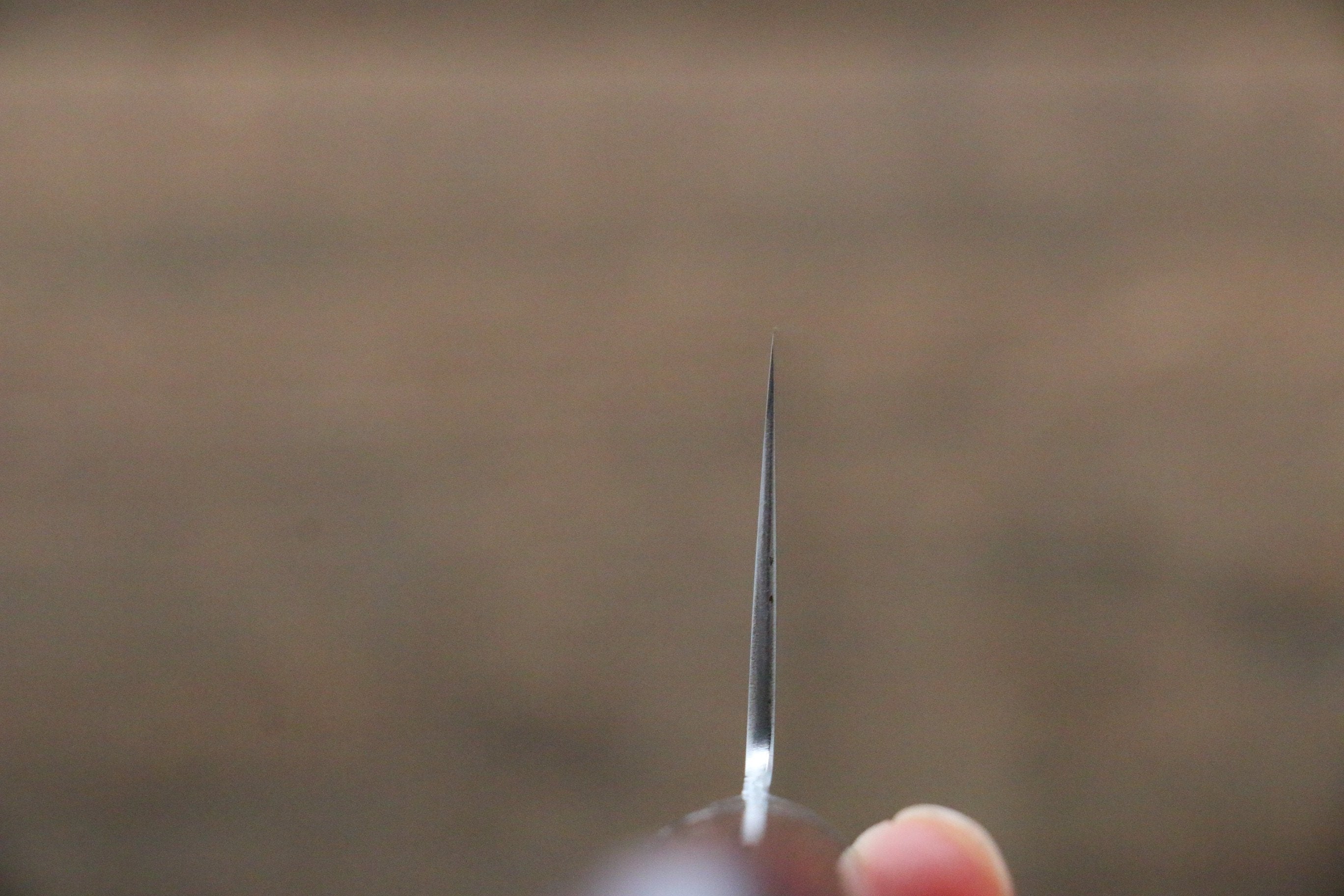 Takamura Knives SG2 Gyuto 210mm with Red Pakka wood Handle - Japanny - Best Japanese Knife