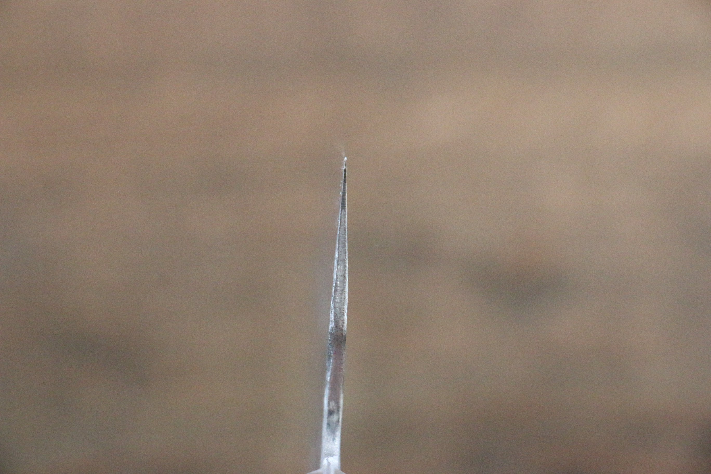 Fujiwara Teruyasu Fujiwara Teruyasu Maboroshi White Steel No.1 Nashiji Hammered Gyuto 210mm with Black Pakka wood Handle - Japanny - Best Japanese Knife