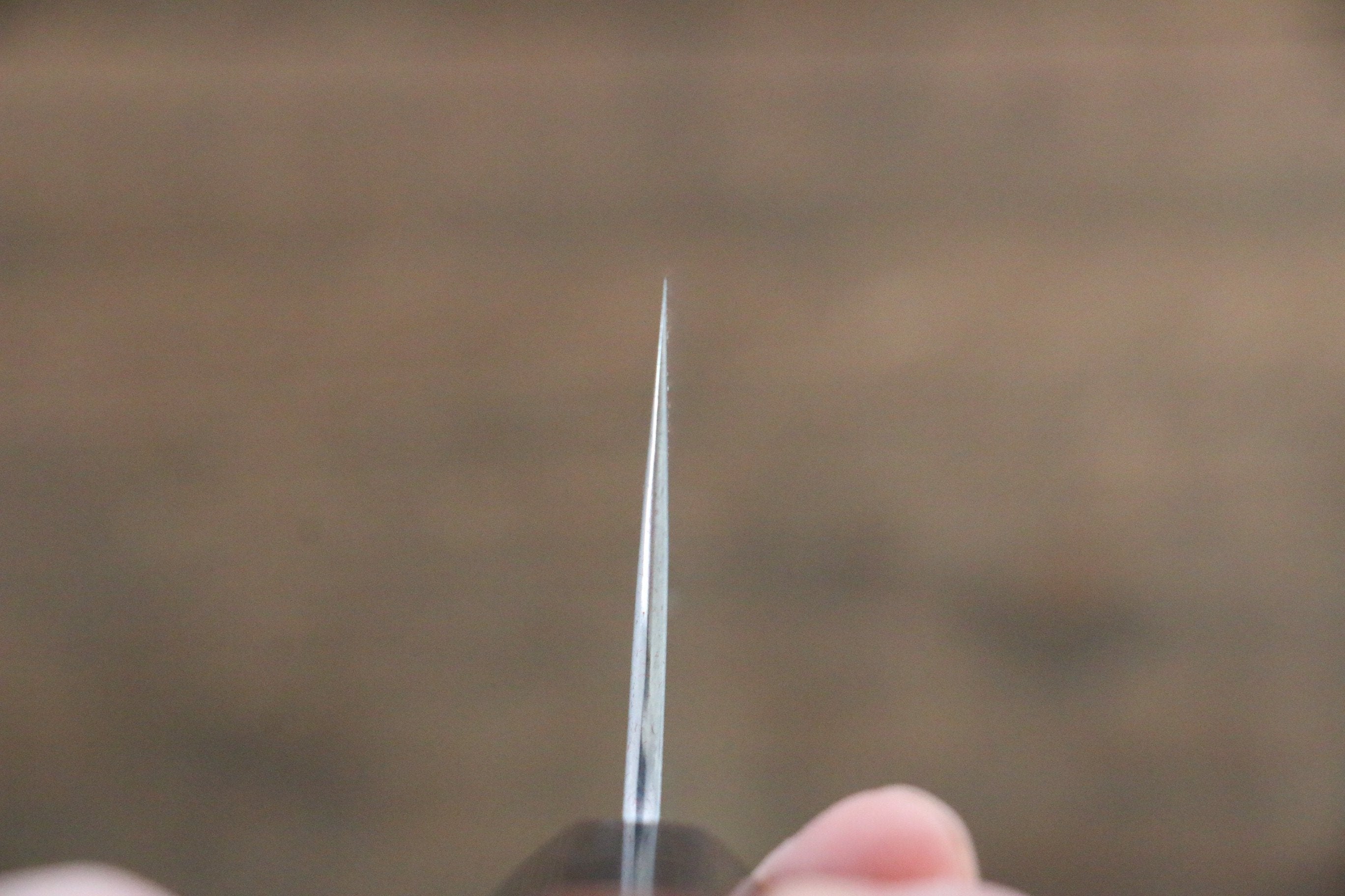 Shibata Takayuki Koutetsu Blue Super Gyuto 210mm Jarrah Handle - Japanny - Best Japanese Knife