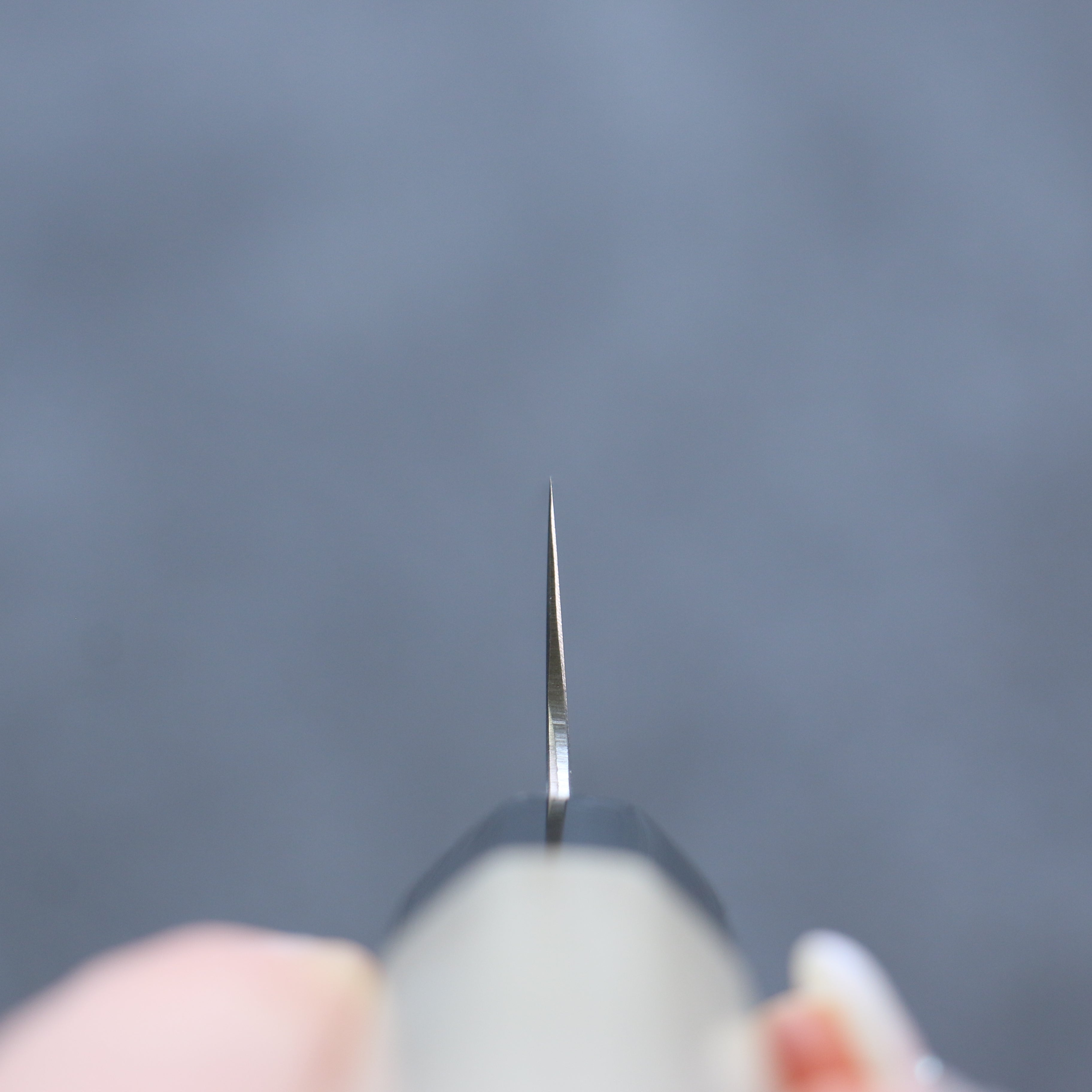 Seisuke Stainless Steel Bread Slicer 240mm Magnolia Handle - Japanny - Best Japanese Knife