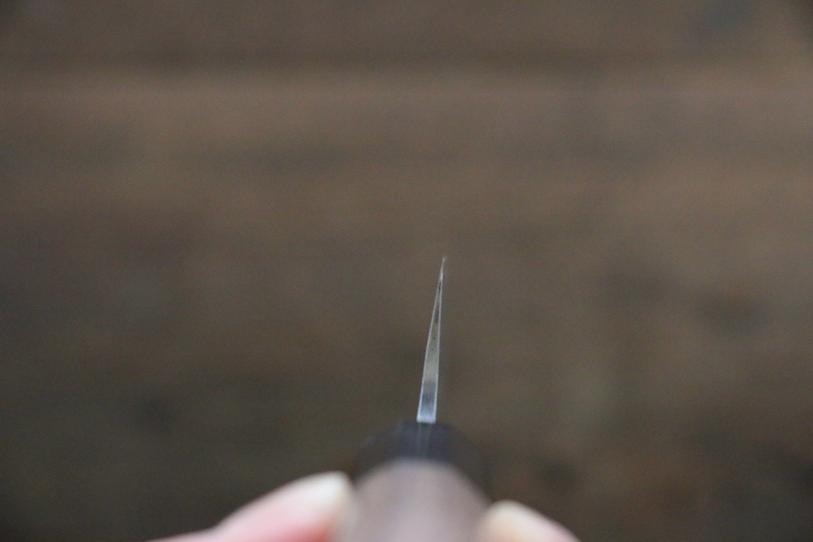 Nao Yamamoto Silver Steel No.3 Nashiji Petty-Utility 120mm Walnut Handle - Japanny - Best Japanese Knife