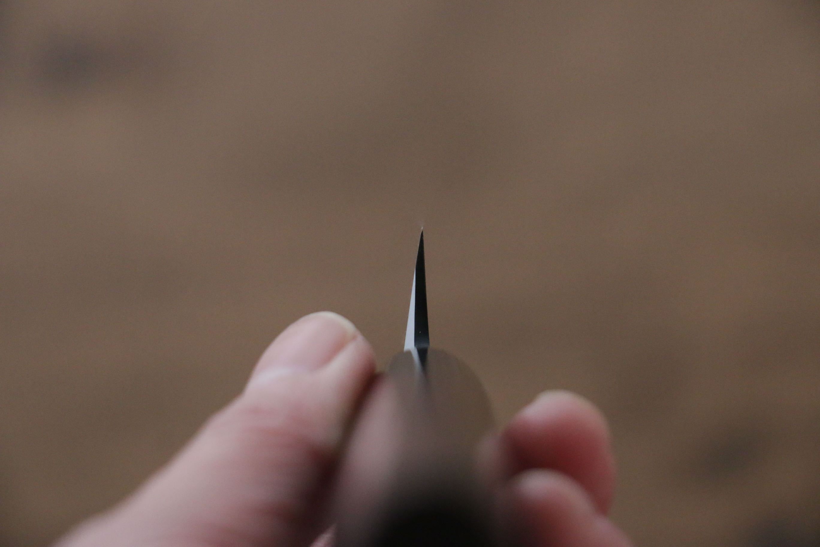 Jikko Silver Steel No.3 Kiritsuke Yanagiba 210mm Shitan Handle - Japanny - Best Japanese Knife