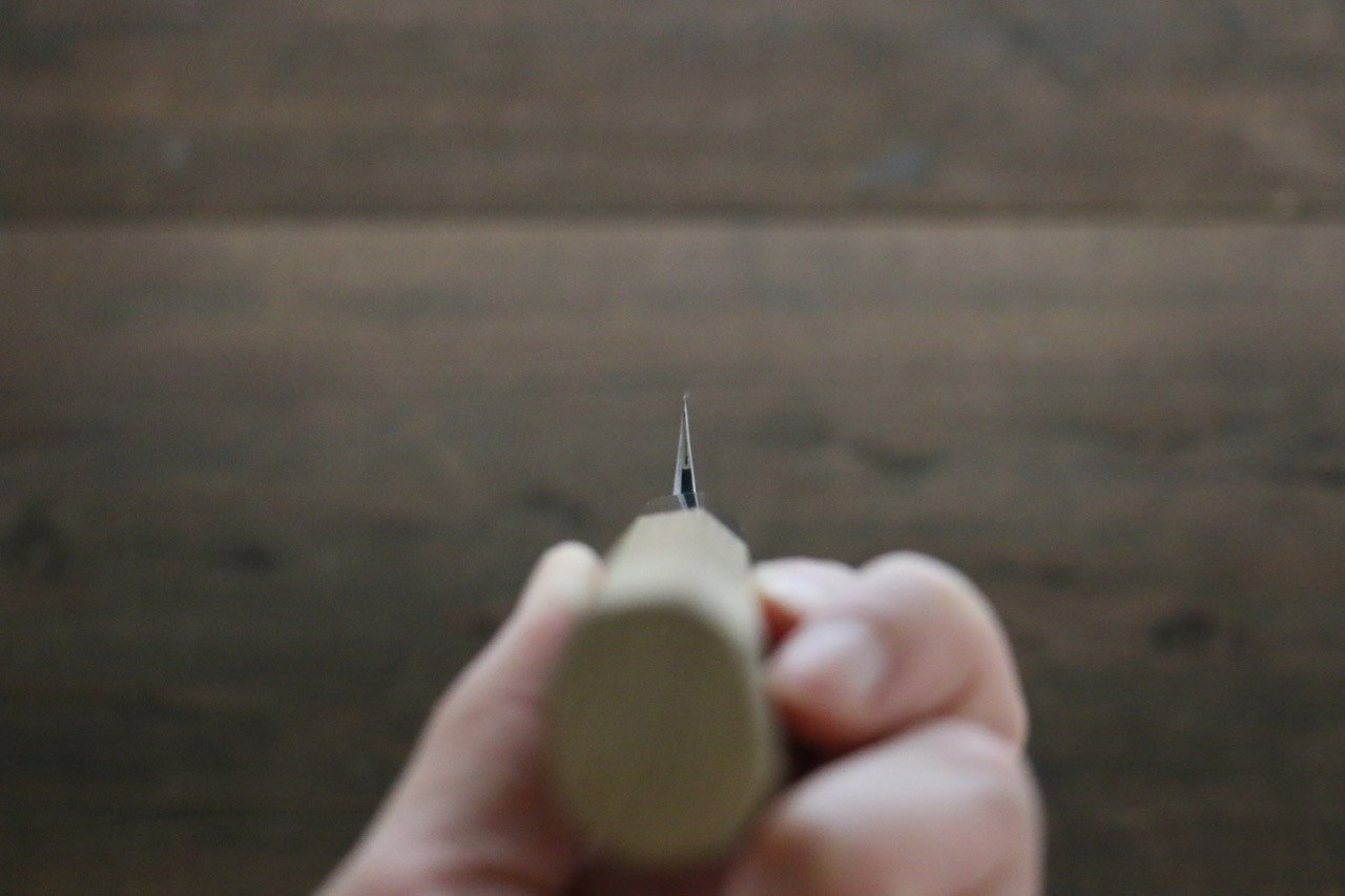 Sukenari Blue Steel No.2 Hongasumi Yanagiba Magnolia Handle - Japanny - Best Japanese Knife