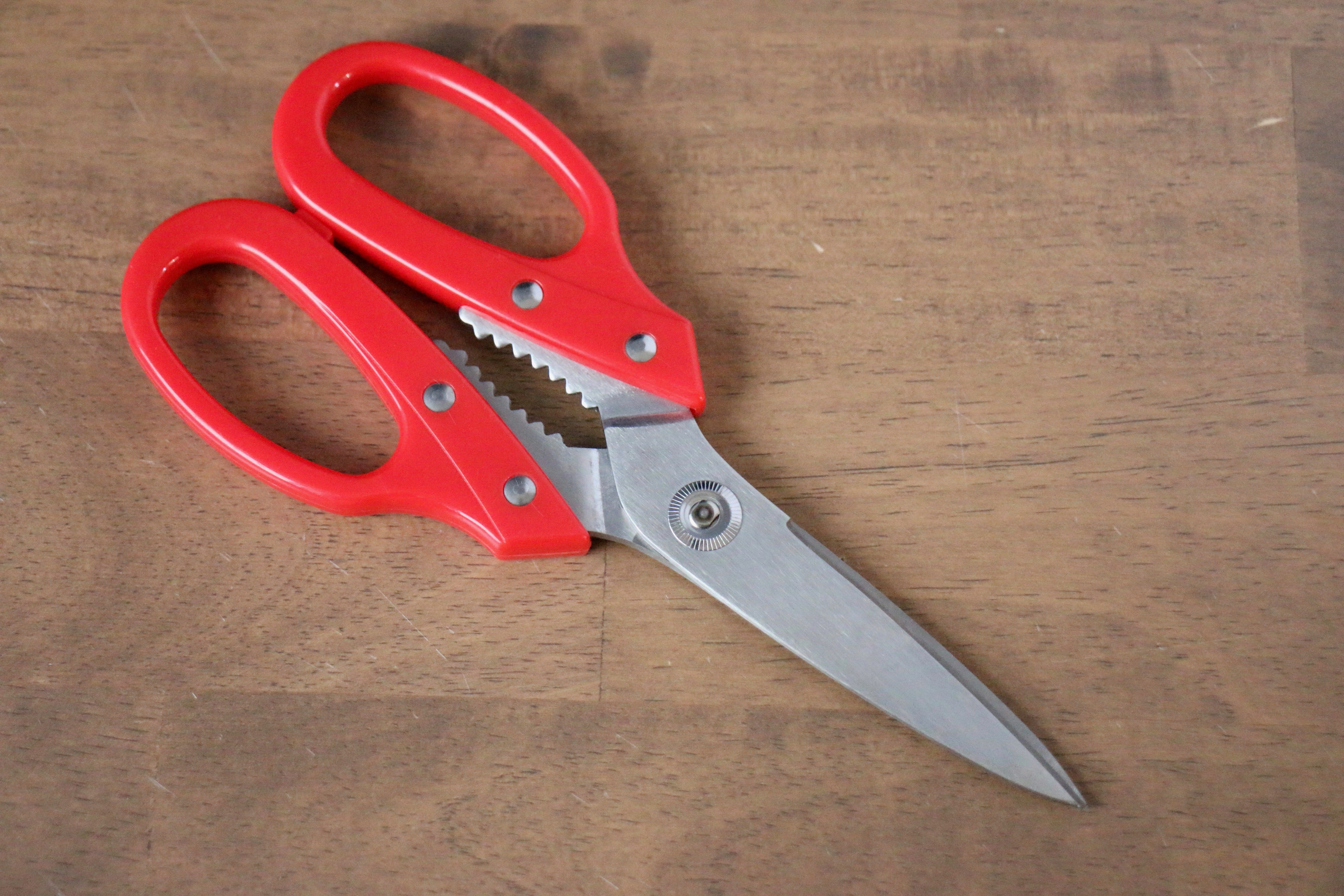 Stainless Steel Kitchen Scissors Red Plastic Handle - Japanny - Best Japanese Knife