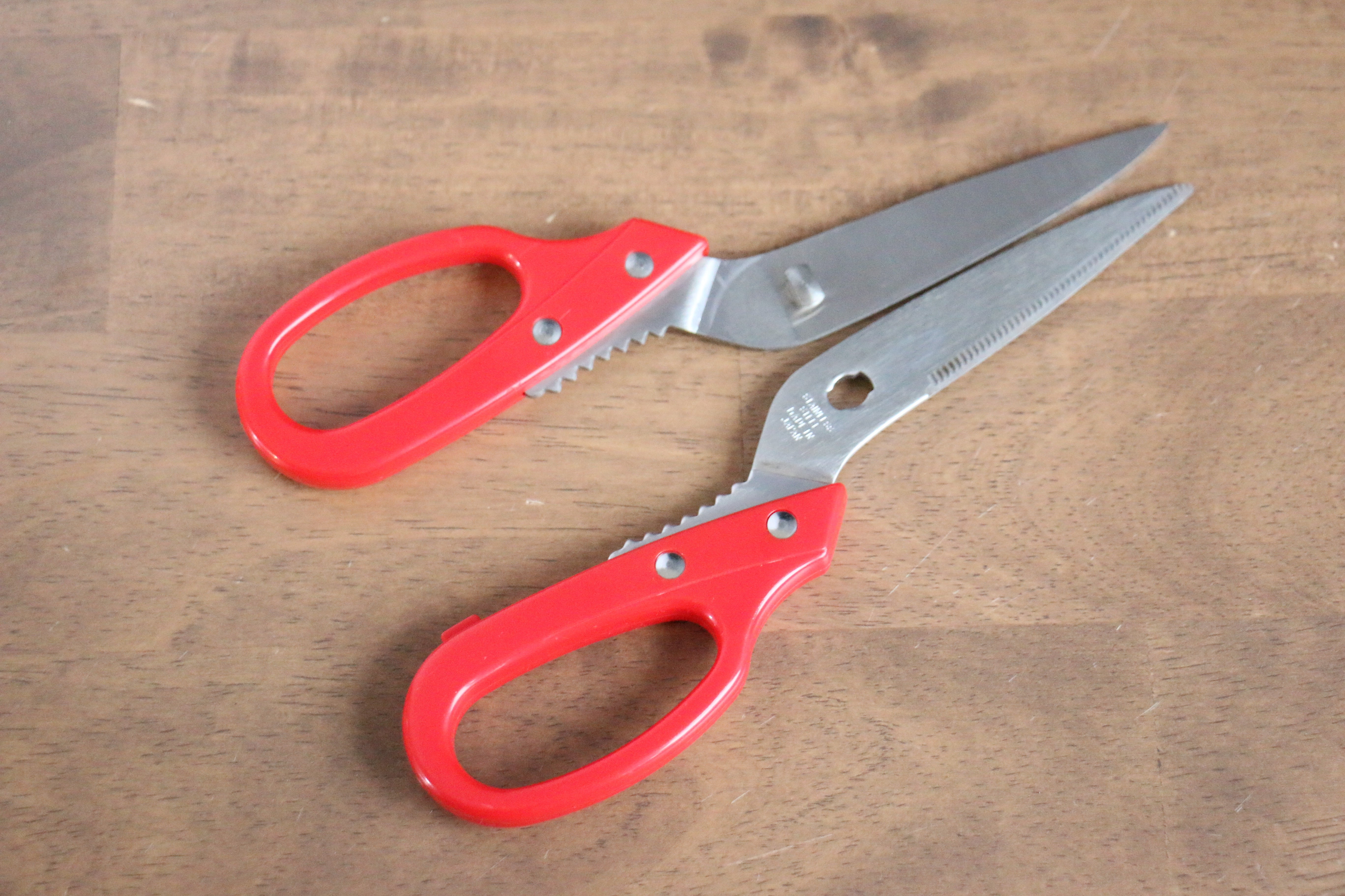 Stainless Steel Kitchen Scissors Red Plastic Handle - Japanny - Best Japanese Knife