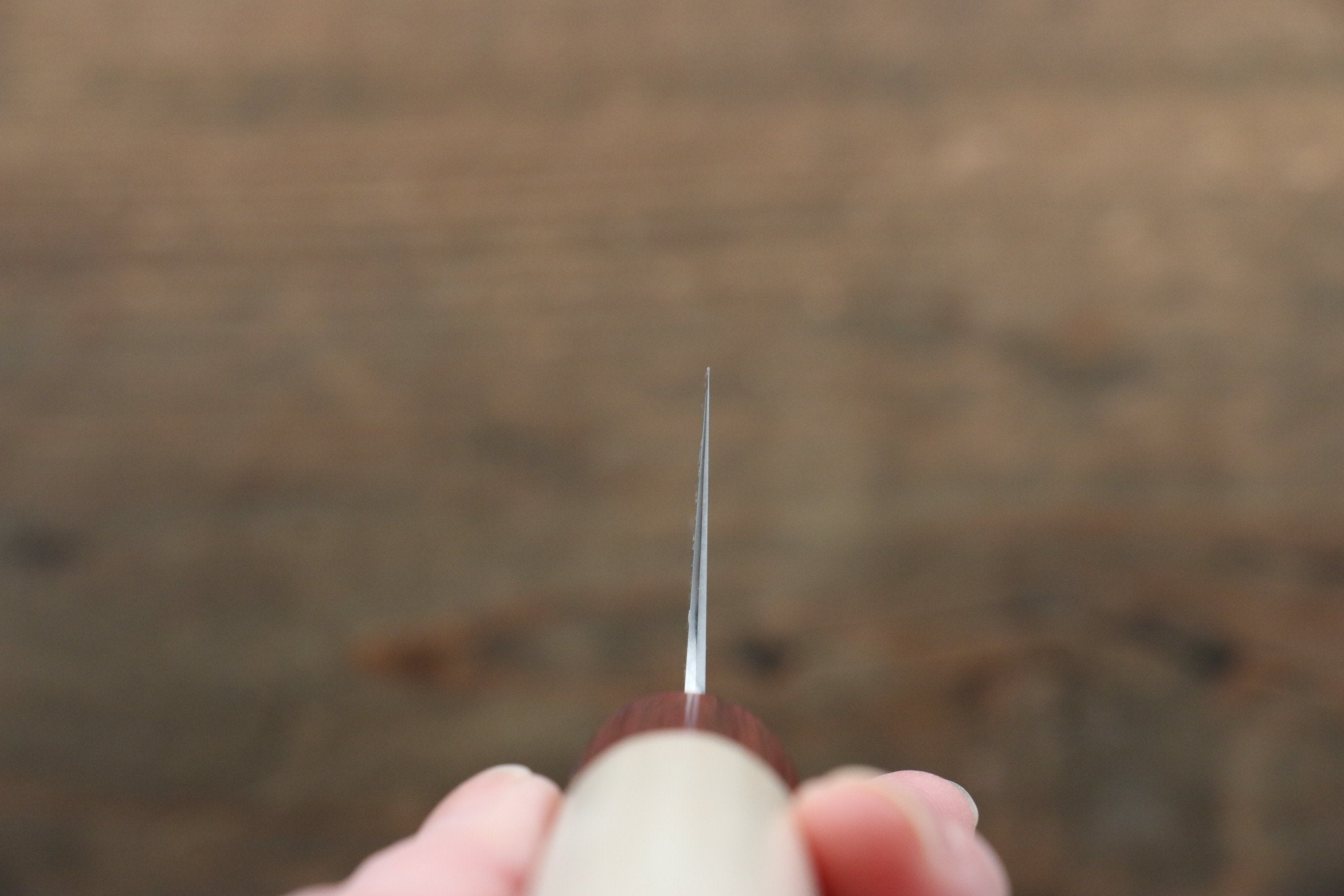 Seisuke VG10 Gyuto 210mm - Japanny - Best Japanese Knife