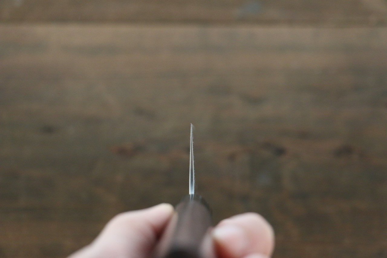 Seisuke SG2 Gyuto 210mm Shitan Handle - Japanny - Best Japanese Knife