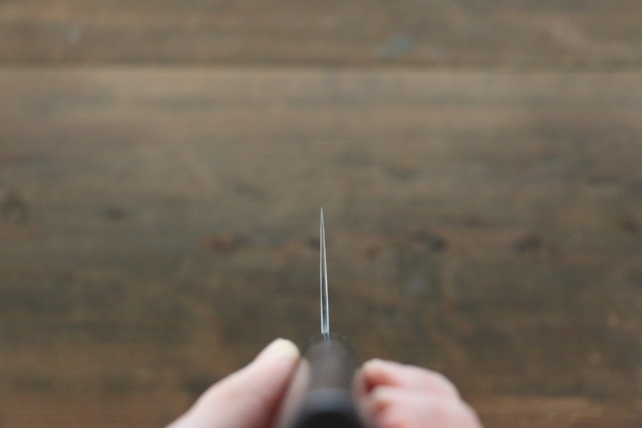 Seisuke SG2 Gyuto 240mm Shitan Handle - Japanny - Best Japanese Knife