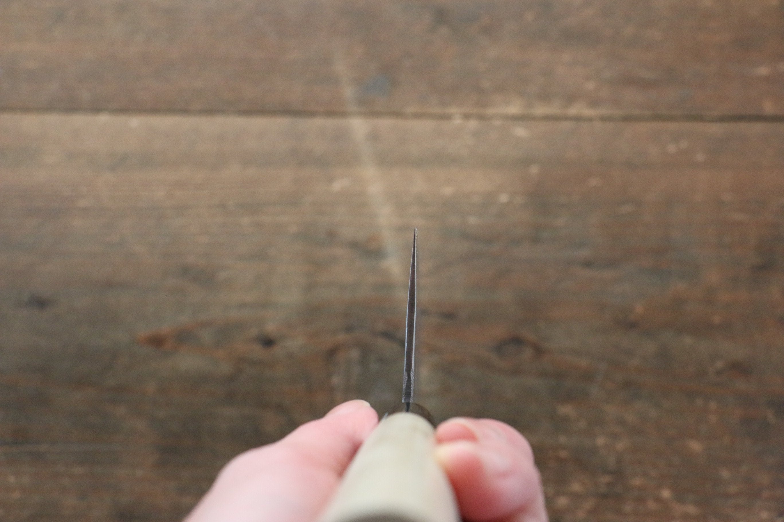 Fujiwara Teruyasu White Steel No.1 Nashiji Gyuto 210mm with Magnolia Handle - Japanny - Best Japanese Knife