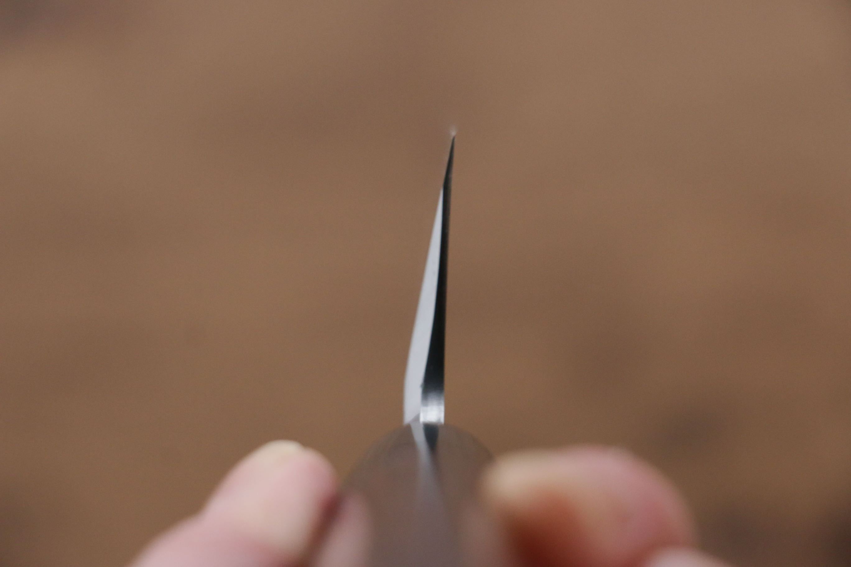 Jikko Silver Steel No.3 Usuba 210mm Shitan Handle - Japanny - Best Japanese Knife