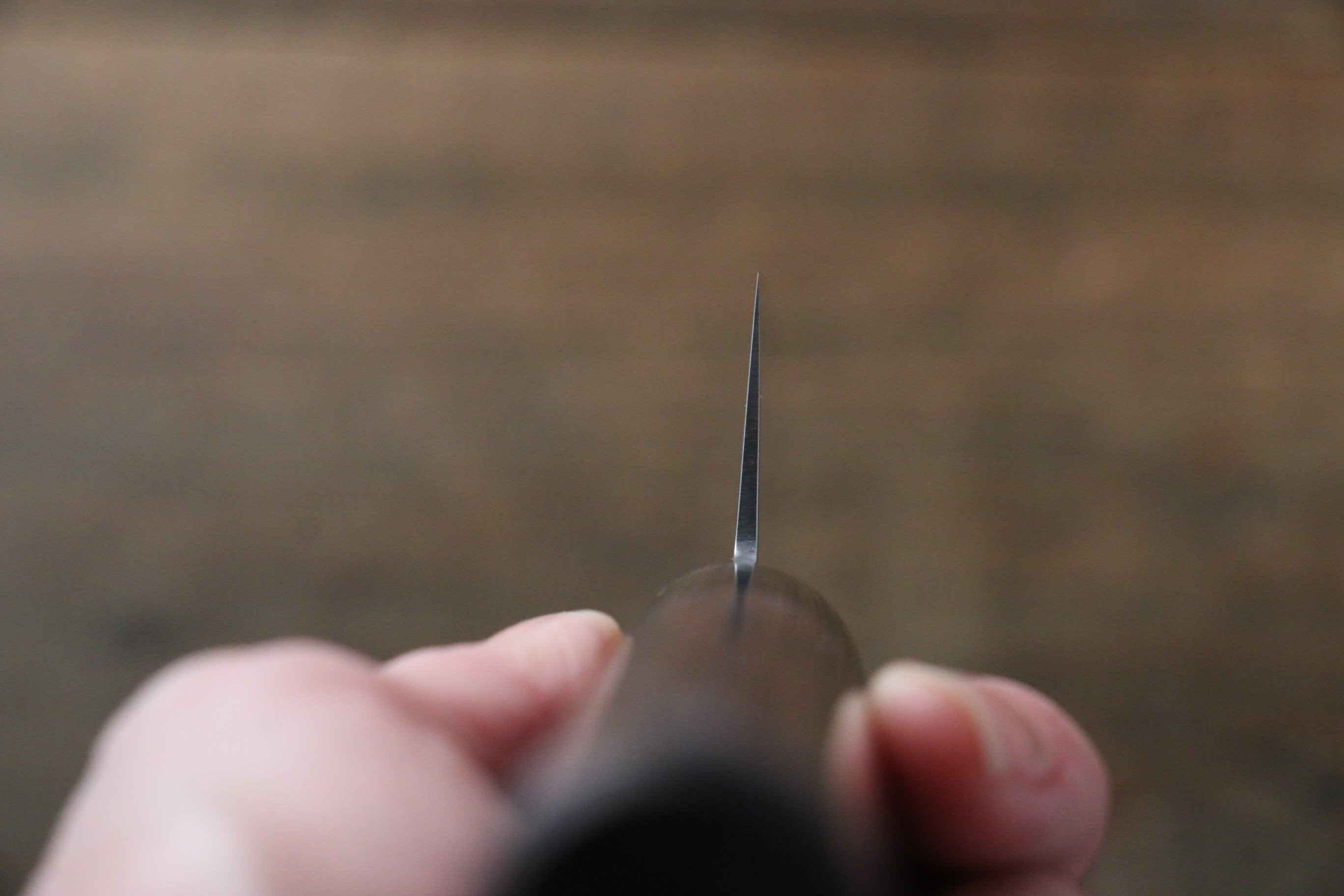 Seisuke VG10 63Layer Damascus Santoku 165mm & Gyuto 210mm Japanese Chef Knife Set - Japanny - Best Japanese Knife