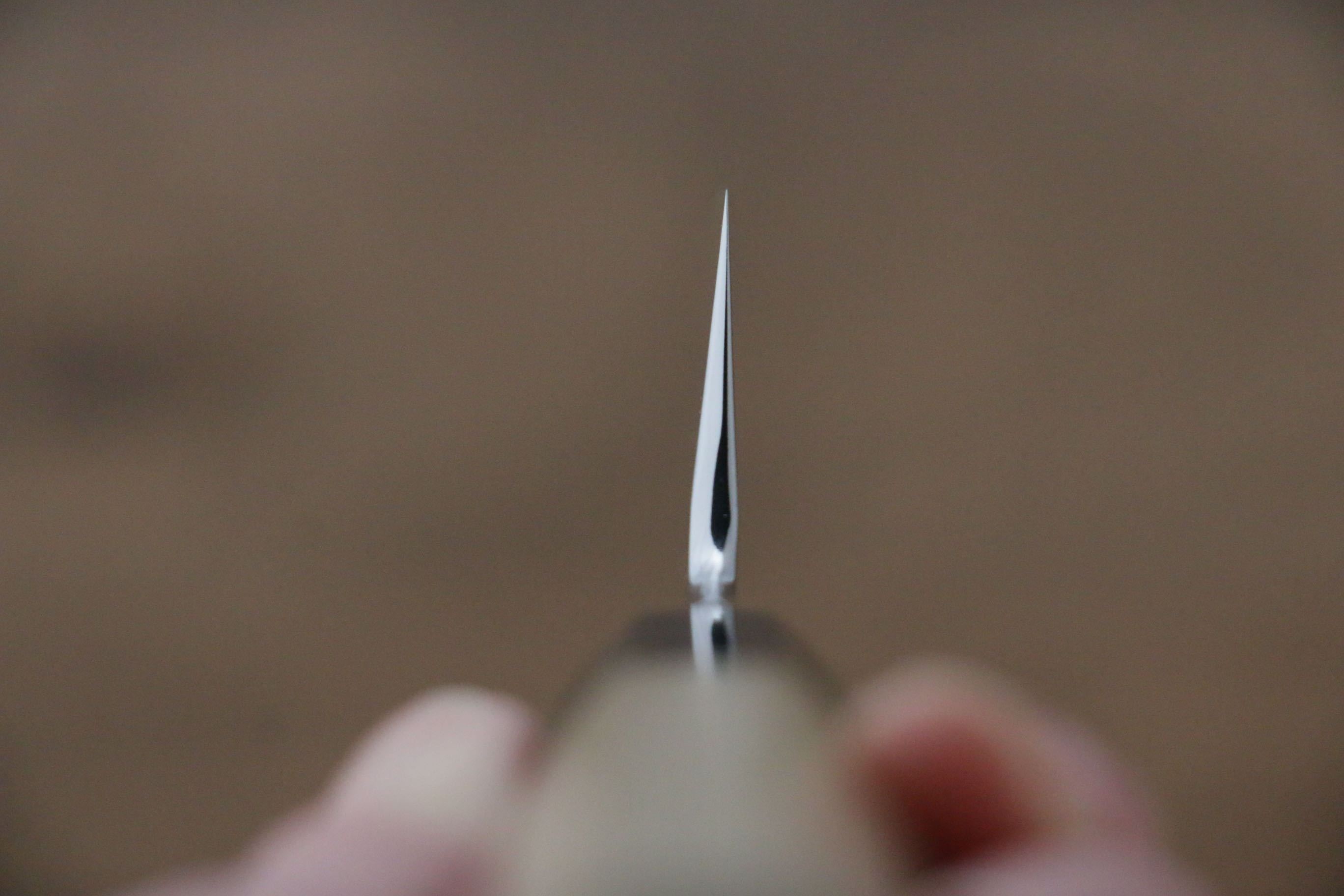 Choyo Silver Steel No.3 Mirrored Finish Gyuto 210mm Magnolia Handle - Japanny - Best Japanese Knife