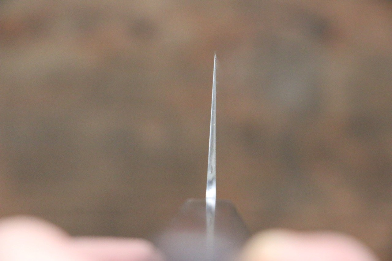 Sukenari Blue Super Gyuto 240mm Shitan Handle - Japanny - Best Japanese Knife