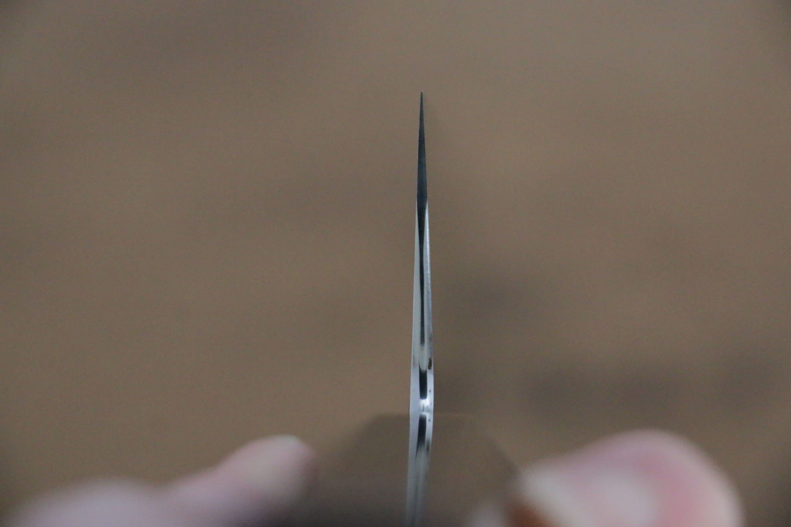 Jikko Fujisan Honyaki White Steel No.3 Mirrored Finish Gyuto 240mm Ebony Wood Handle - Japanny - Best Japanese Knife