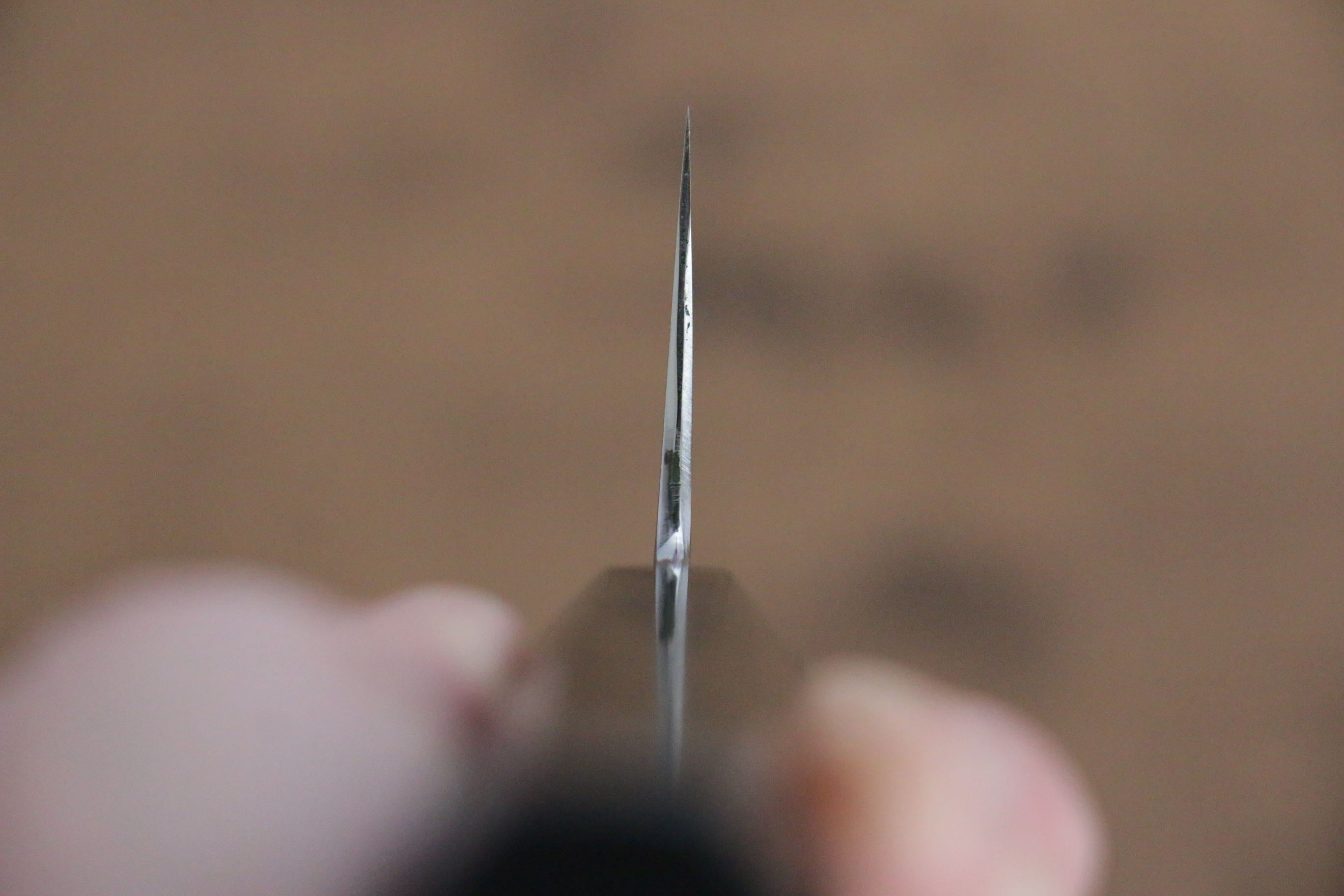 Jikko Fujisan Honyaki White Steel No.3 Mirrored Finish Kiritsuke Gyuto 210mm Ebony Wood Handle - Japanny - Best Japanese Knife