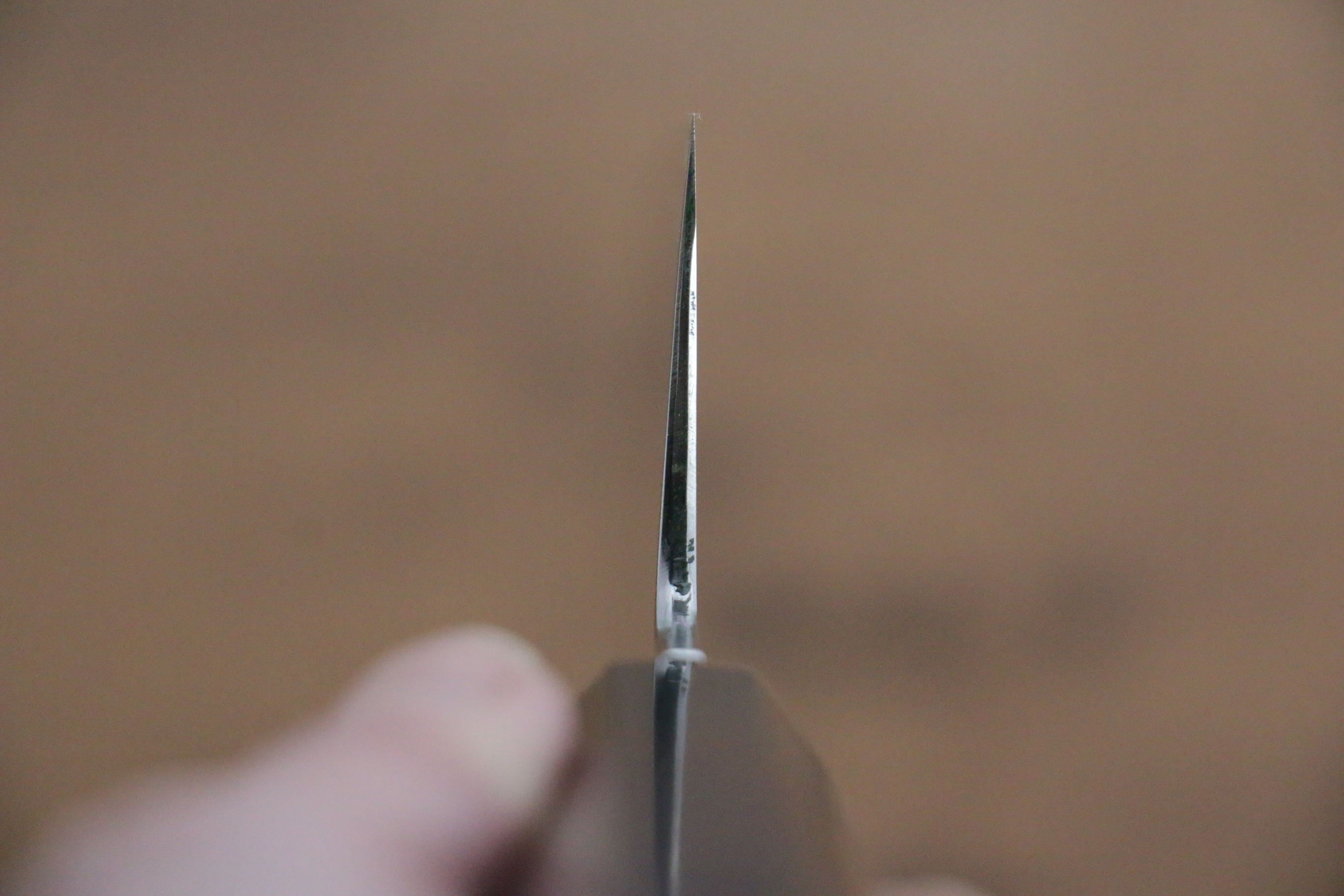 Jikko Fujisan Honyaki White Steel No.3 Mirrored Finish Gyuto 210mm Ebony Wood Handle - Japanny - Best Japanese Knife