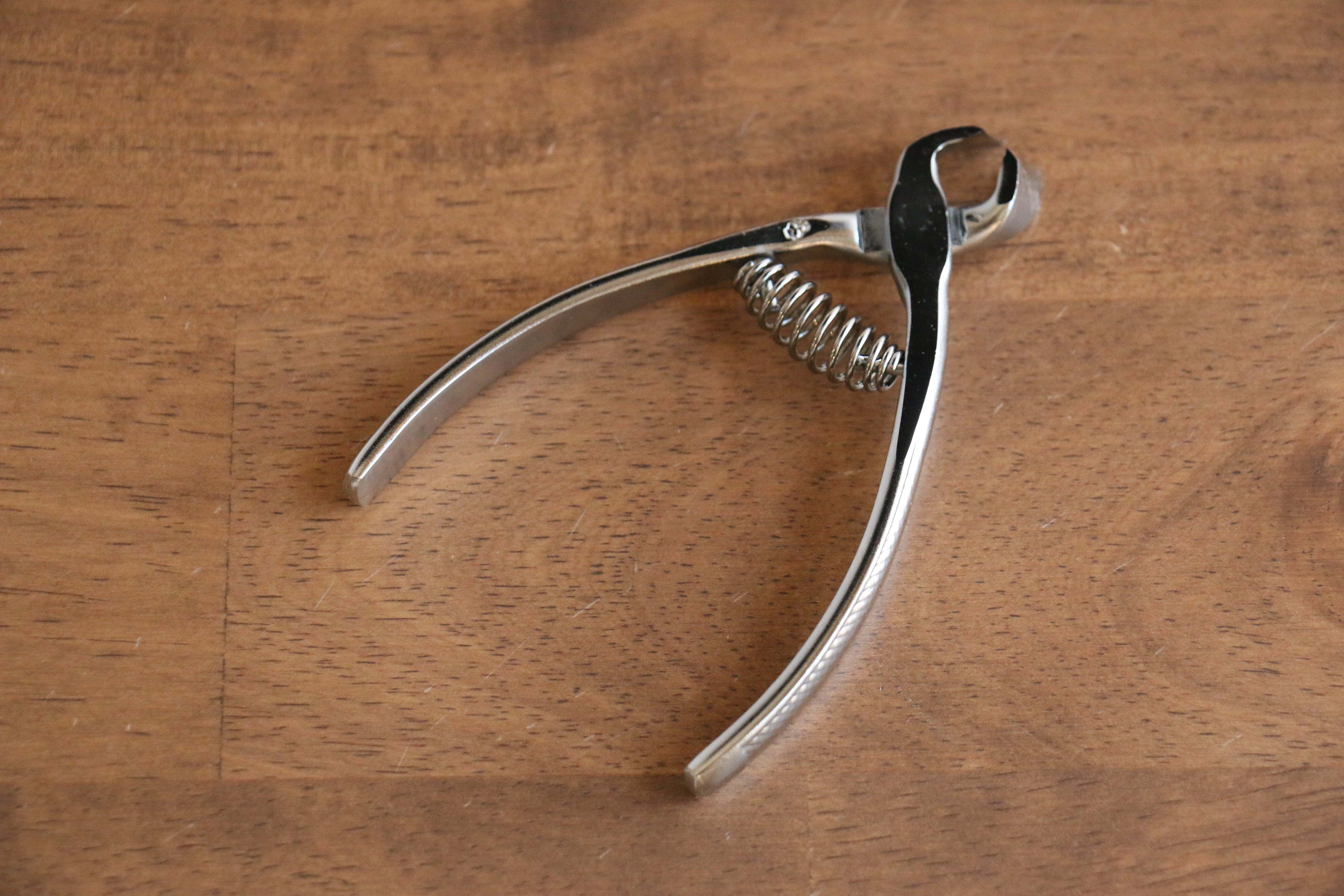 Clover mark High carbon steel Oblique blade Nail Clipper - Japanny - Best Japanese Knife