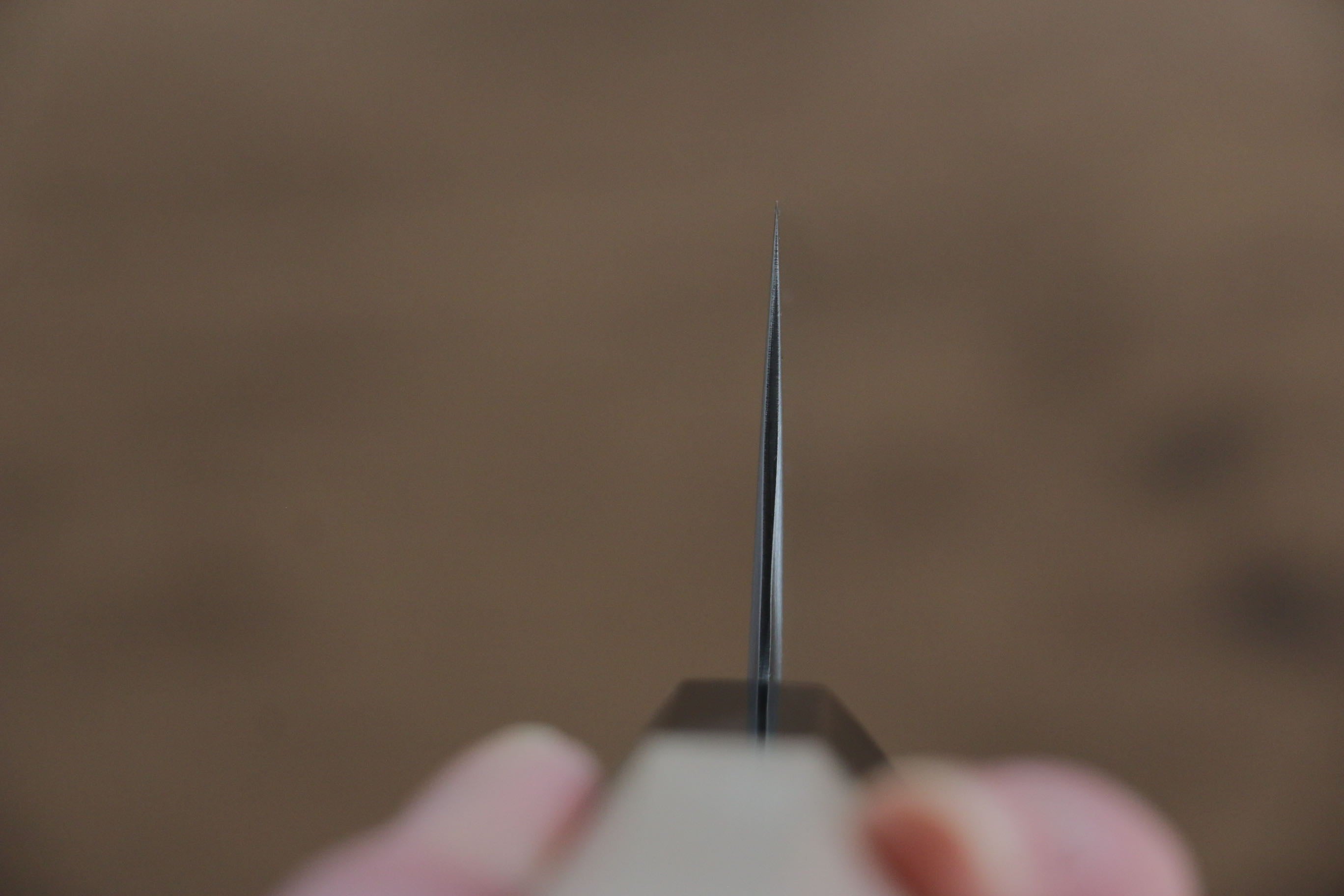 Jikko SG2 Kiritsuke Gyuto 230mm Magnolia Handle - Japanny - Best Japanese Knife