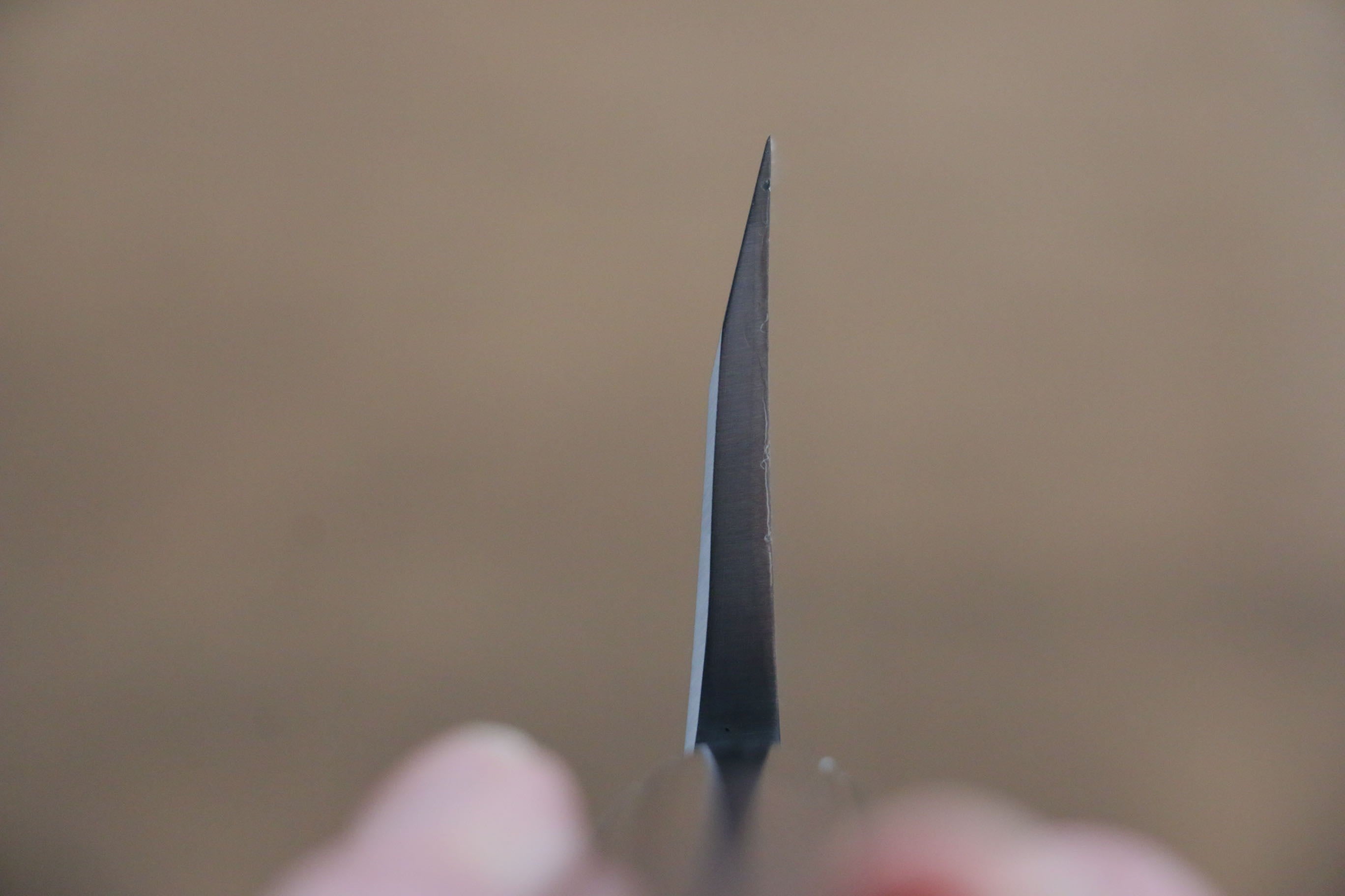 Jikko White Steel No.2 Deba 210mm Shitan Handle - Japanny - Best Japanese Knife