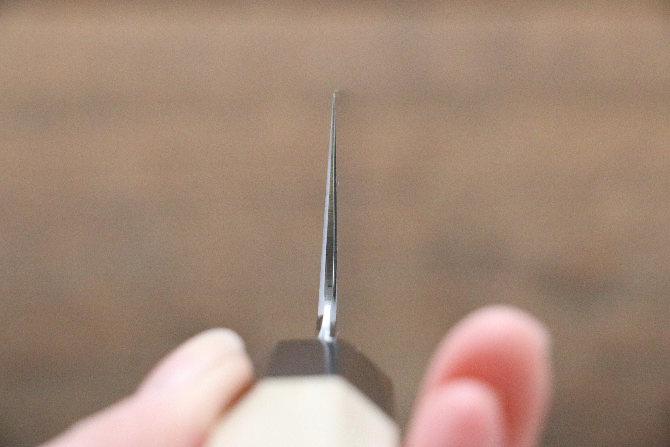 Kikumori Blue Steel No.1 Damascus Gyuto 210mm with Magnolia Handle - Japanny - Best Japanese Knife