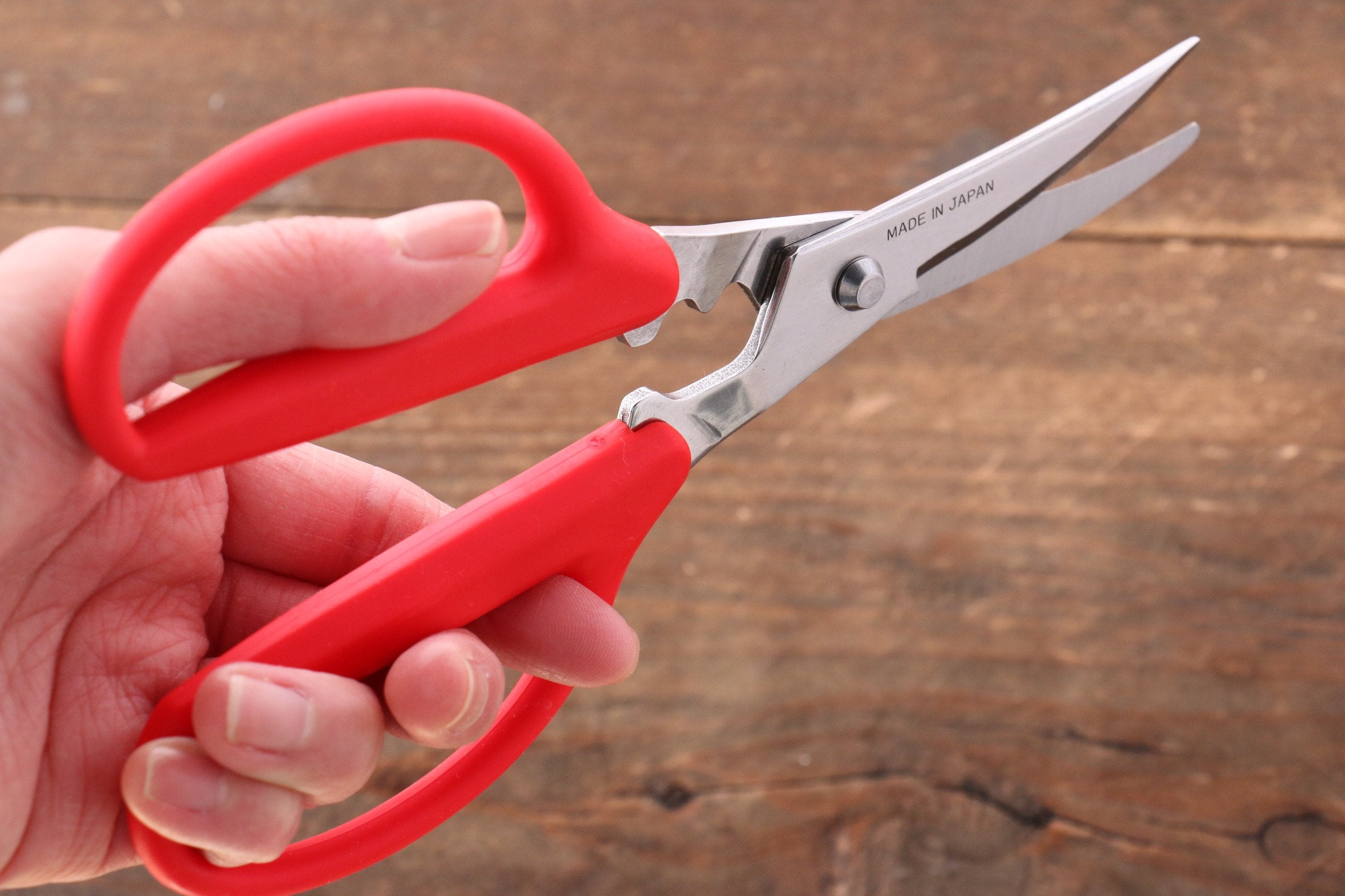 MT Stainless Steel Scissors - Japanny - Best Japanese Knife