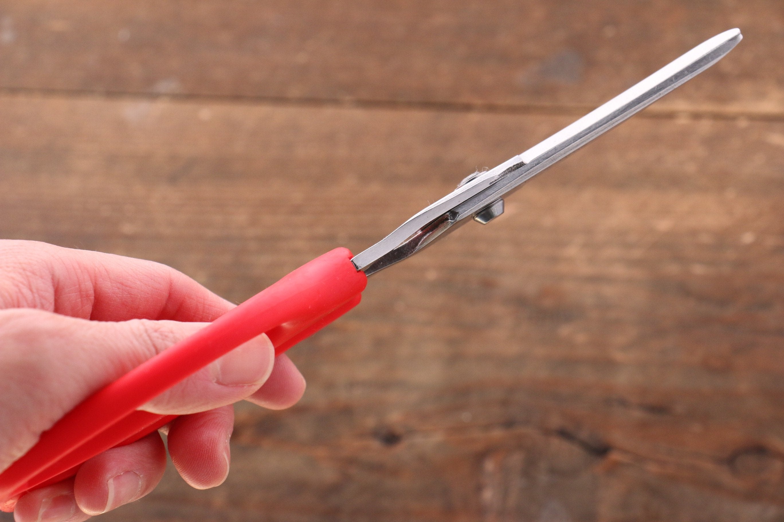 MT Stainless Steel Scissors - Japanny - Best Japanese Knife