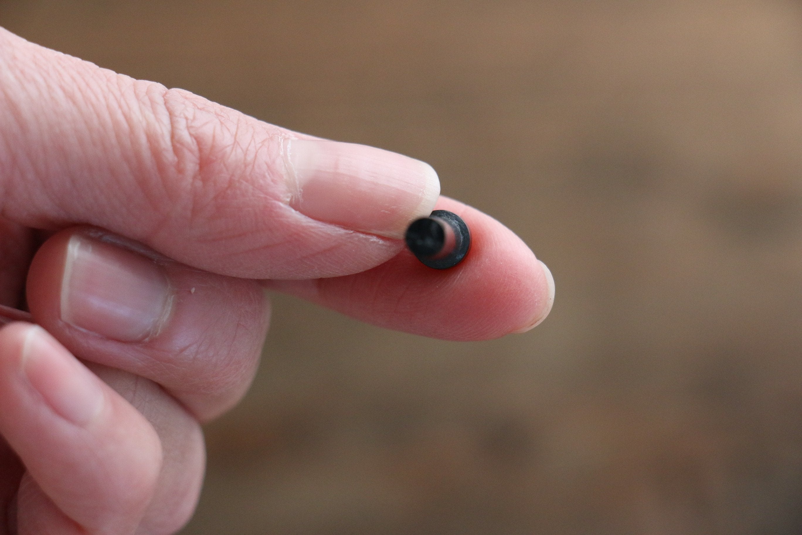 Pin for Saya Plywood 15mm x 4mm - Japanny - Best Japanese Knife