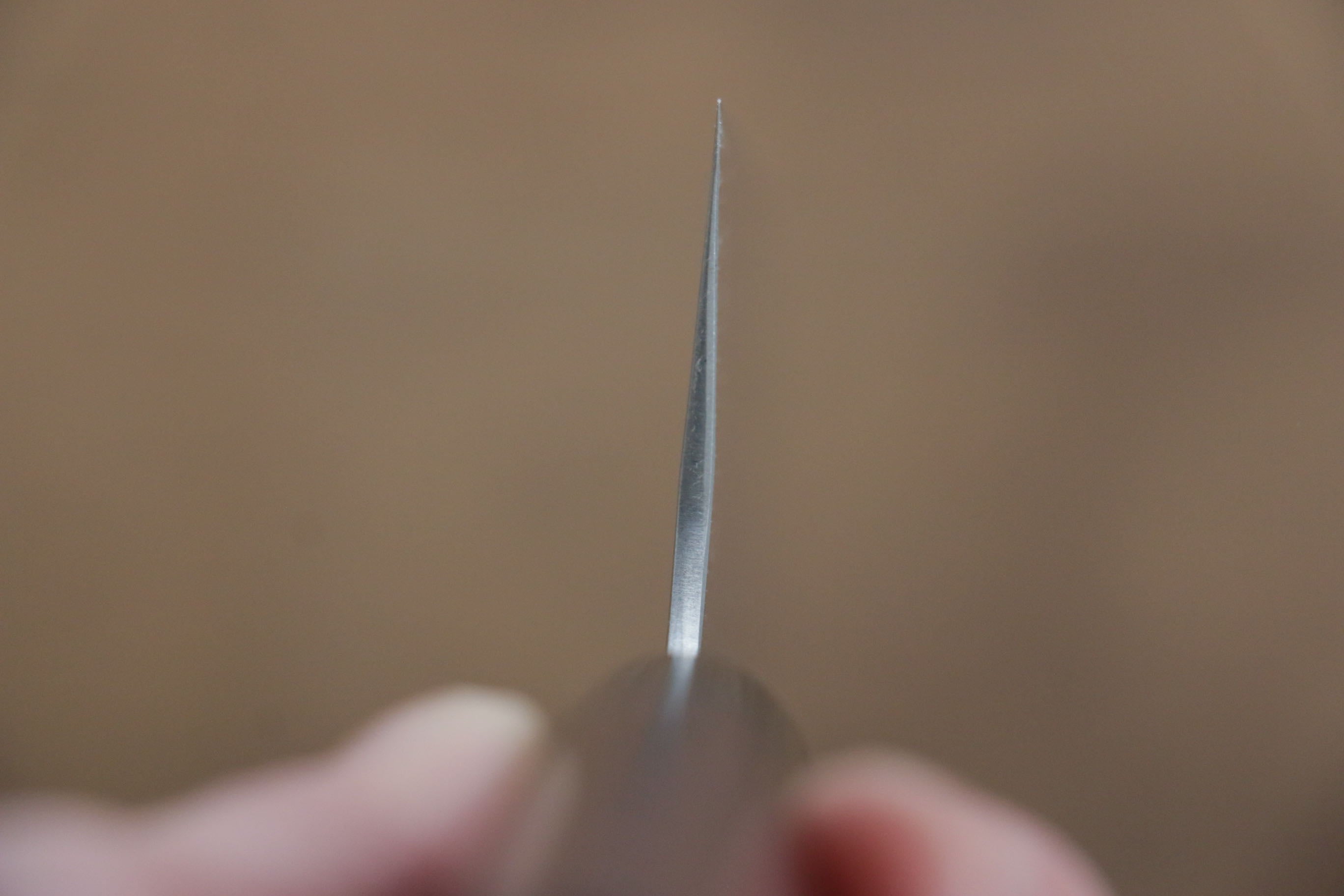 Shungo Ogata SG2 Gyuto 210mm Shitan Handle - Japanny - Best Japanese Knife