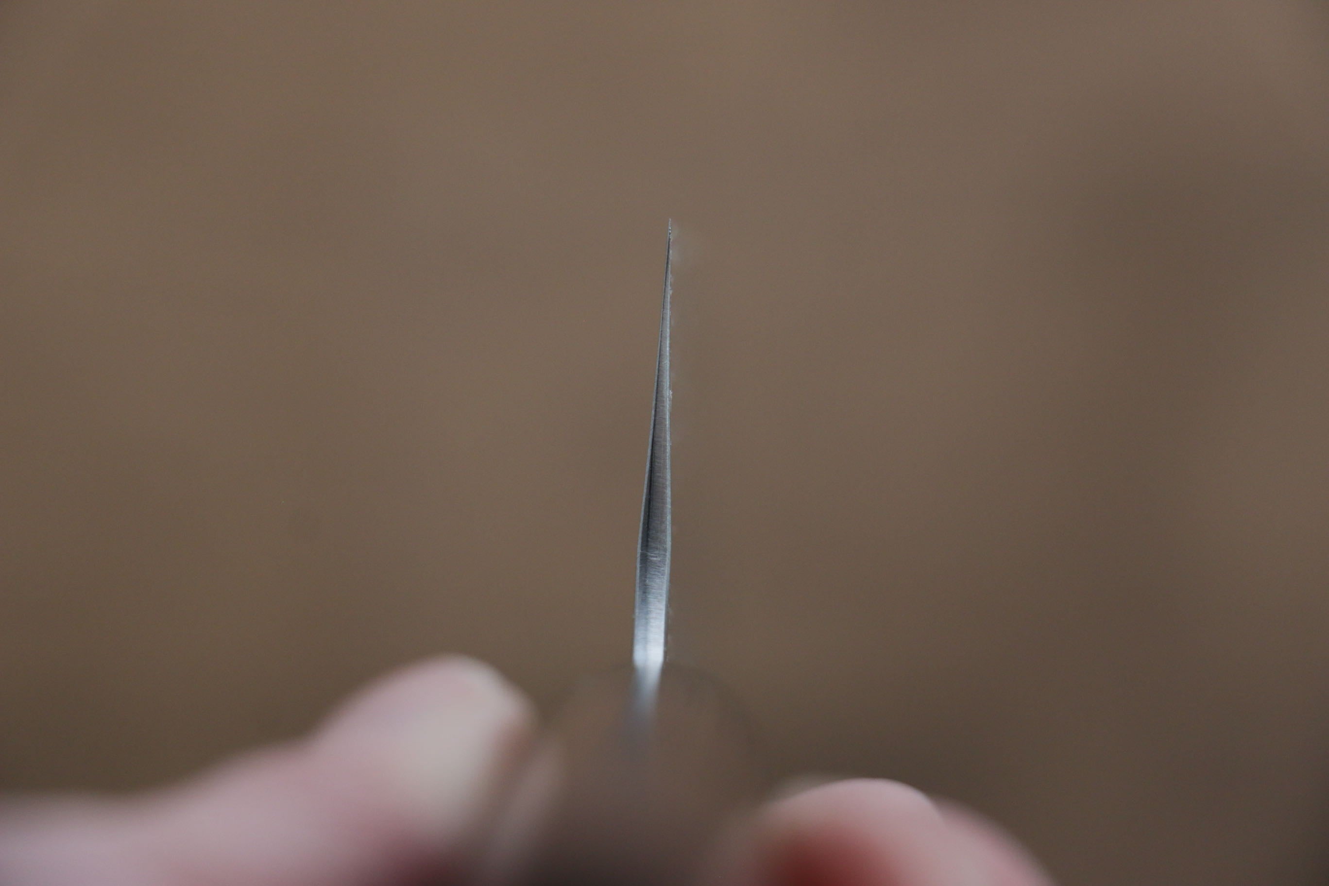 Shungo Ogata SG2 Sujihiki 240mm Shitan Handle - Japanny - Best Japanese Knife