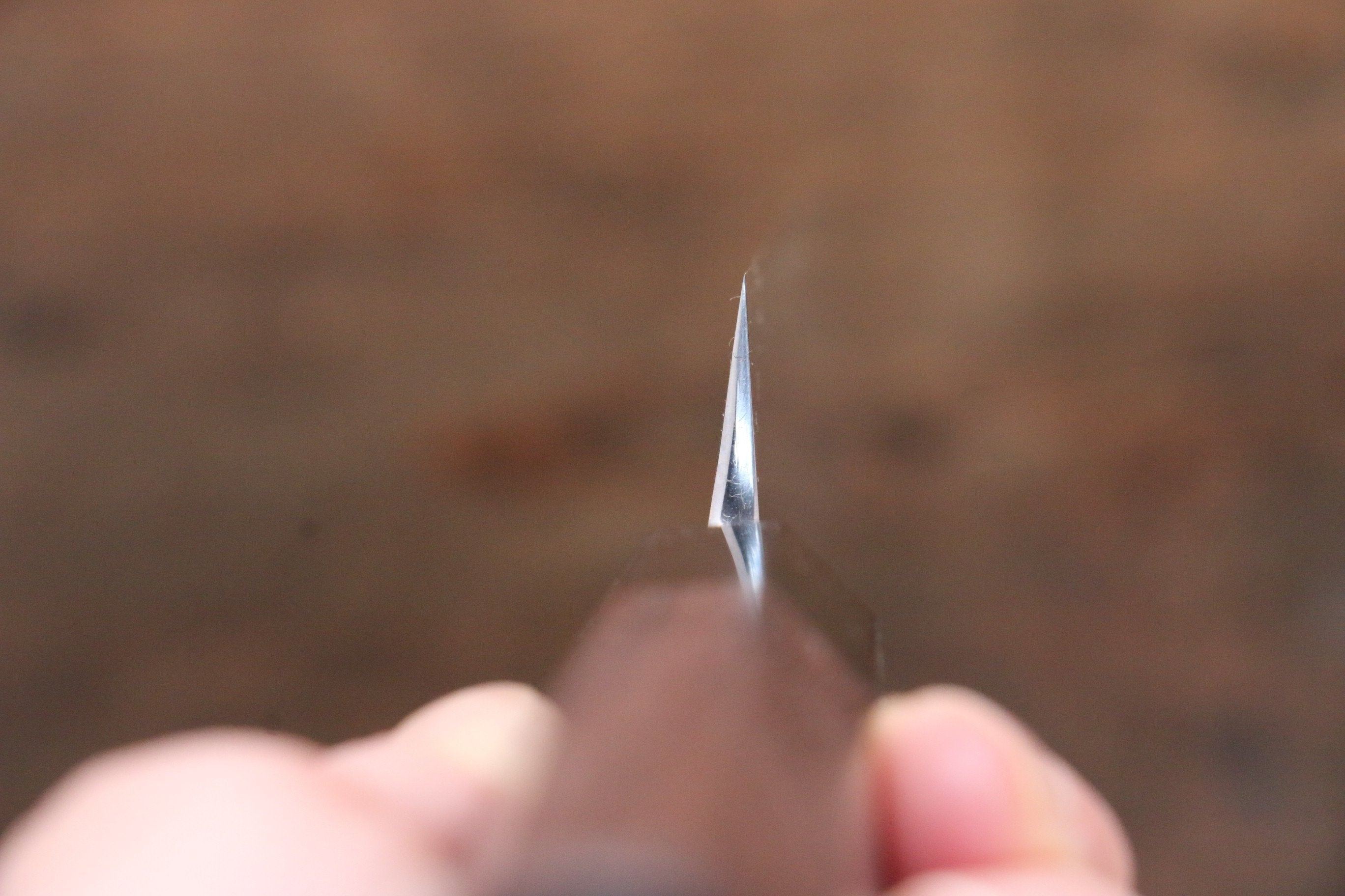 Sukenari SG2 2 Layer Yanagiba 270mm Shitan Handle - Japanny - Best Japanese Knife