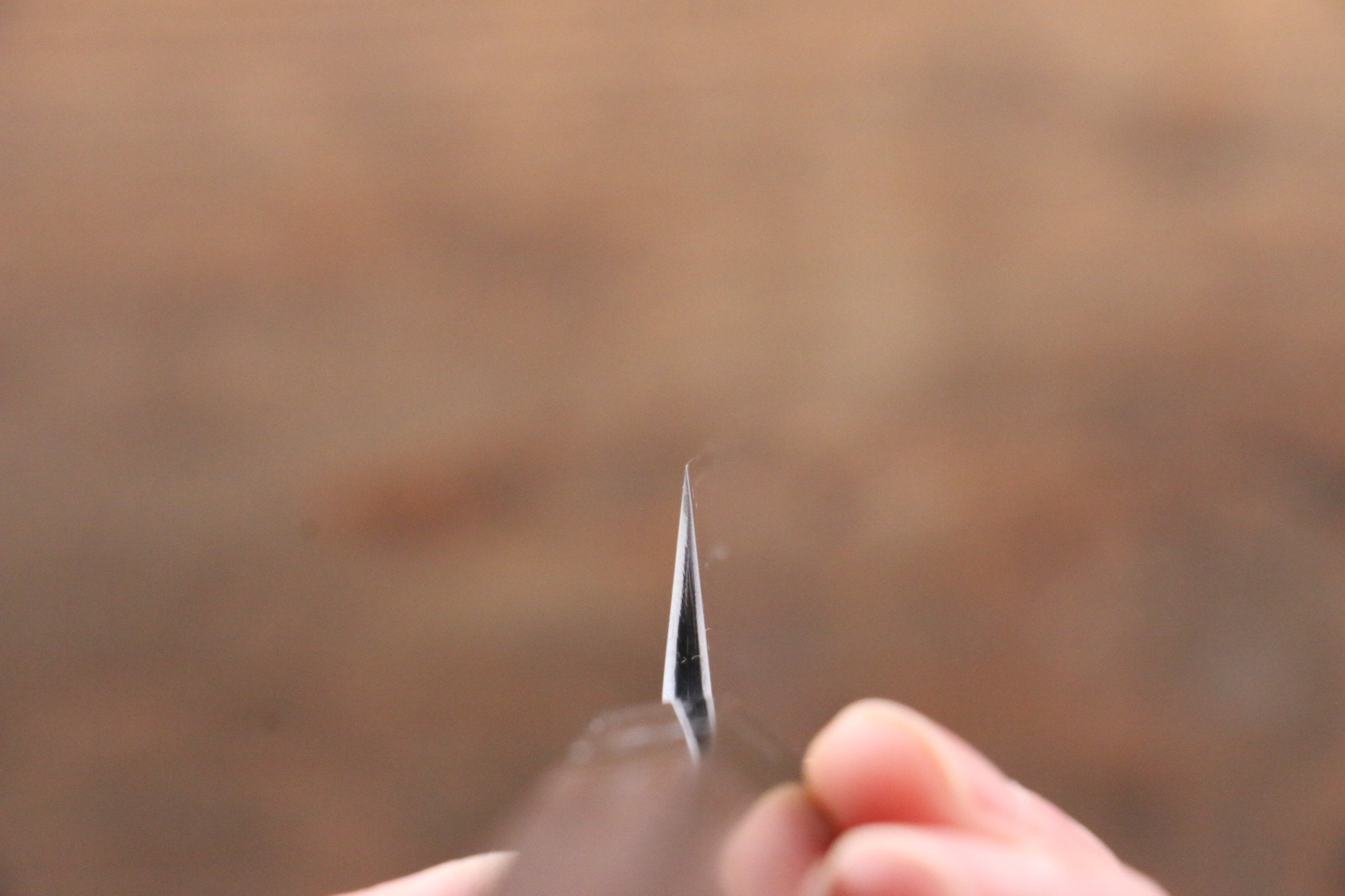 Sukenari SG2 2 Layer Yanagiba 240mm Shitan Handle - Japanny - Best Japanese Knife