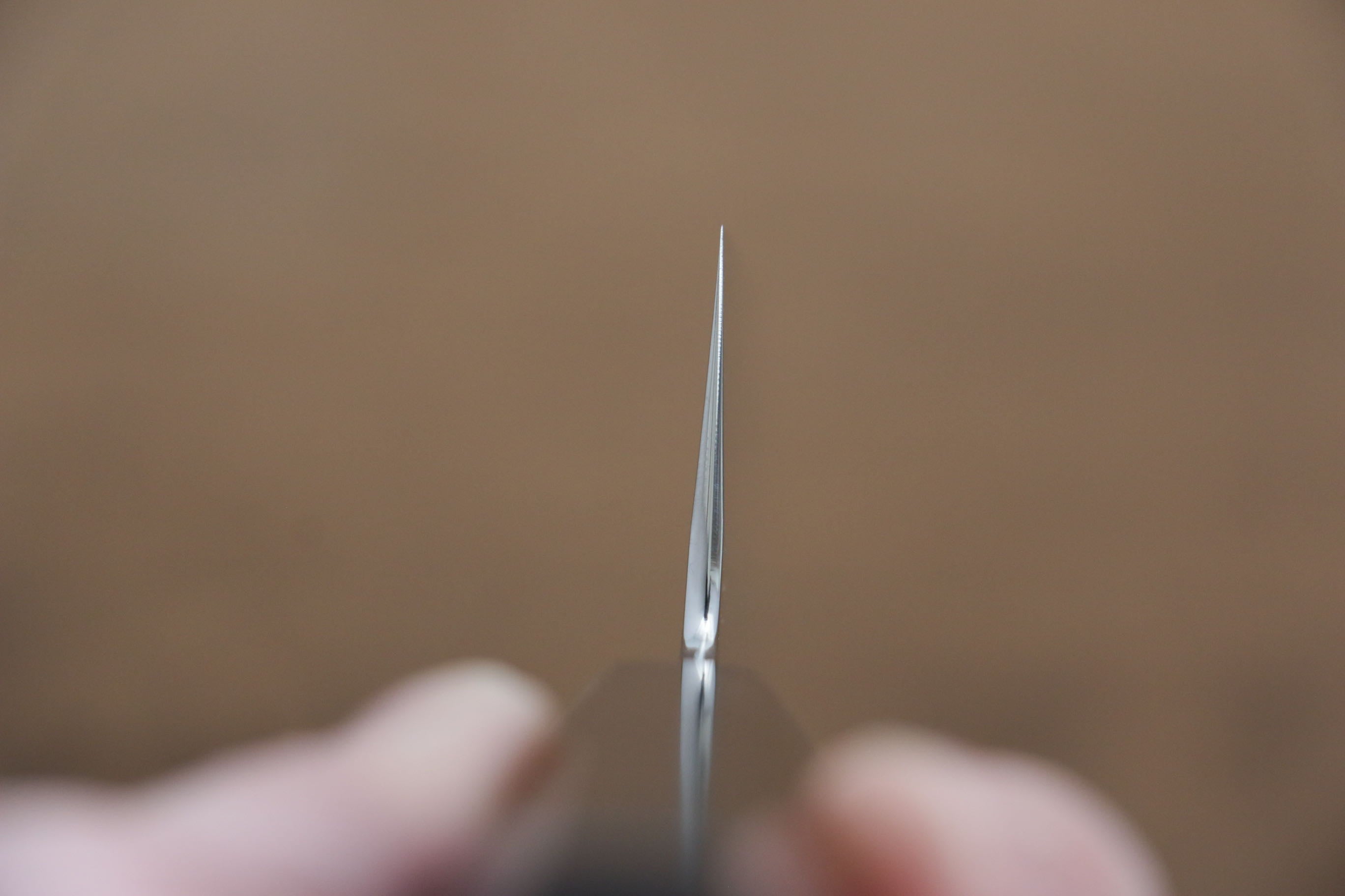 Sakai Kikumori VG10 Mirrored Finish Gyuto 210mm Ebony Wood Handle - Japanny - Best Japanese Knife