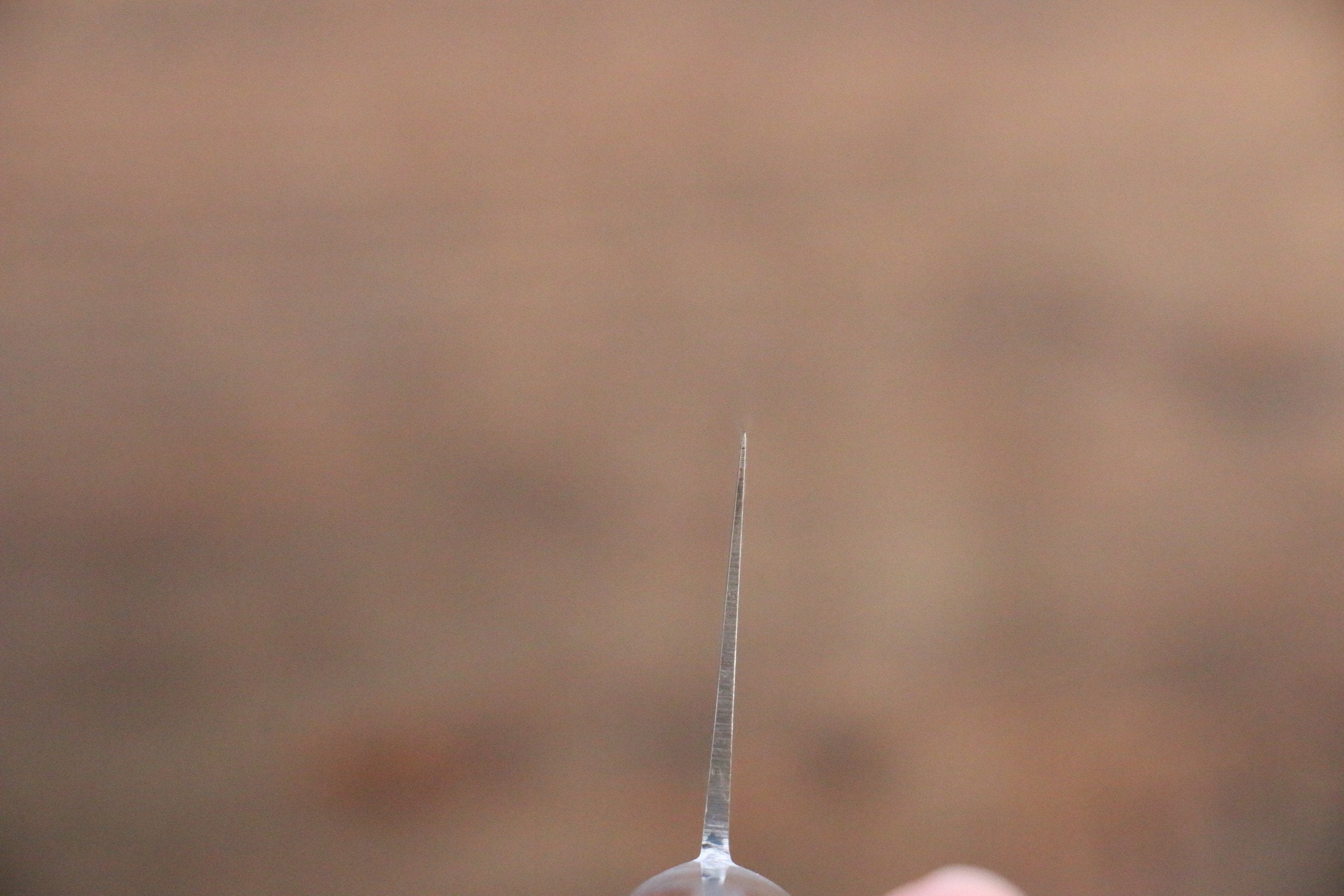 Iseya Molybdenum Steel Petty Japanese Chef Knife 120mm & Gyuto Knife 210mm with Mahogany Packer wood Handle Set (Ferrel : Stainless Steel) - Japanny - Best Japanese Knife