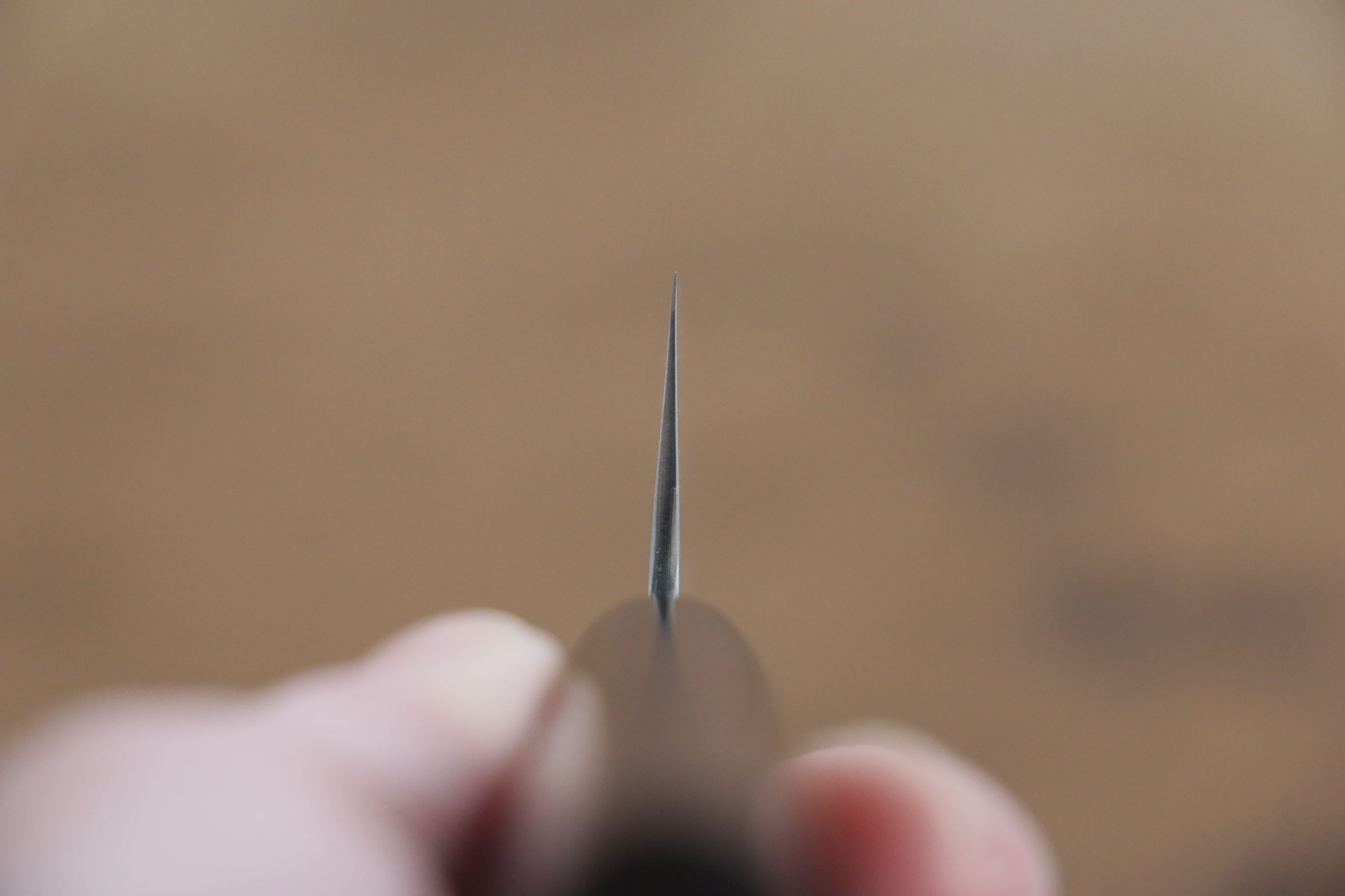 Seisuke SG2 Petty-Utility 140mm Shitan Handle - Japanny - Best Japanese Knife