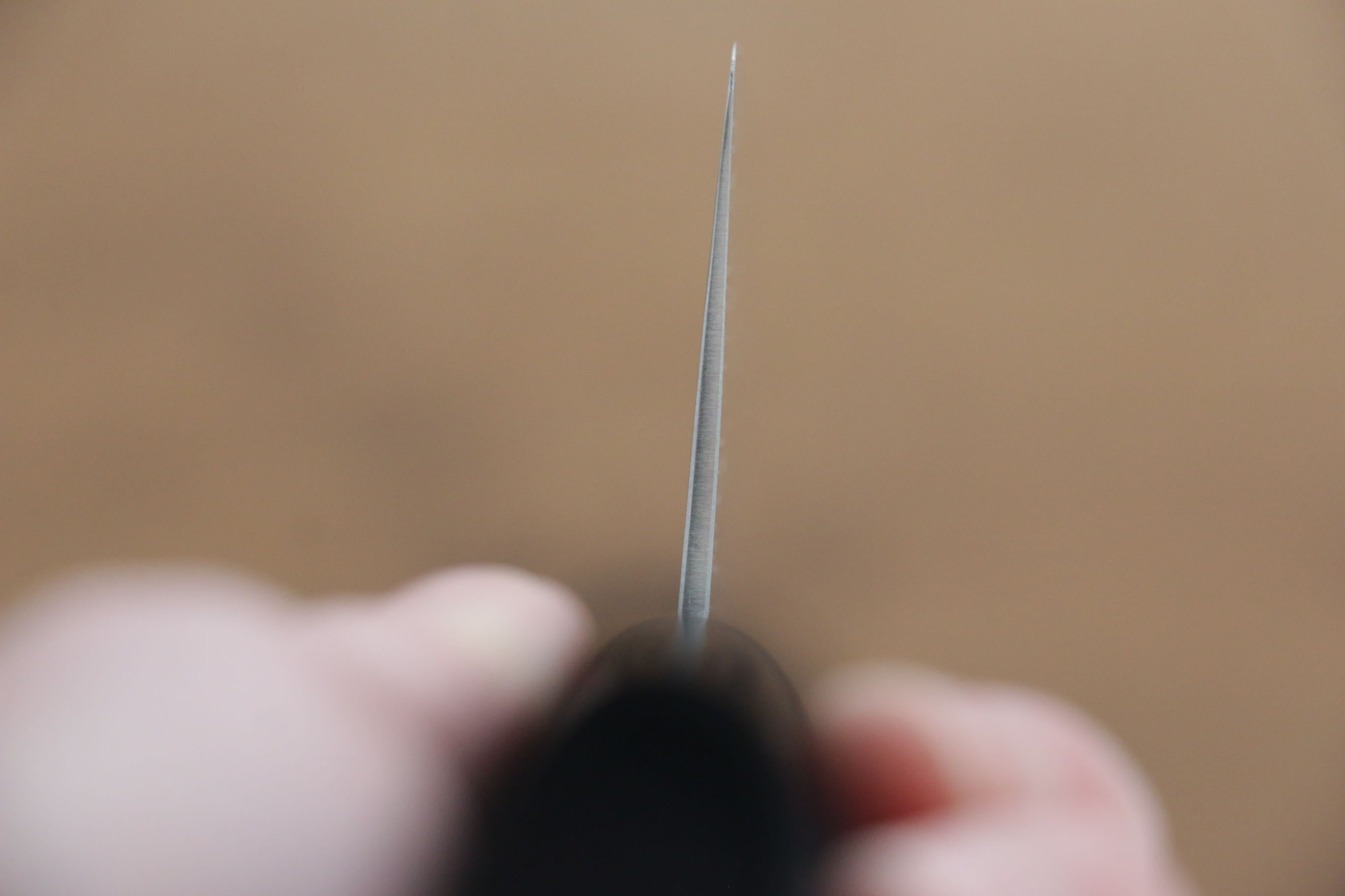 Seisuke SG2 Santoku(Maru) 150mm Shitan Handle - Japanny - Best Japanese Knife