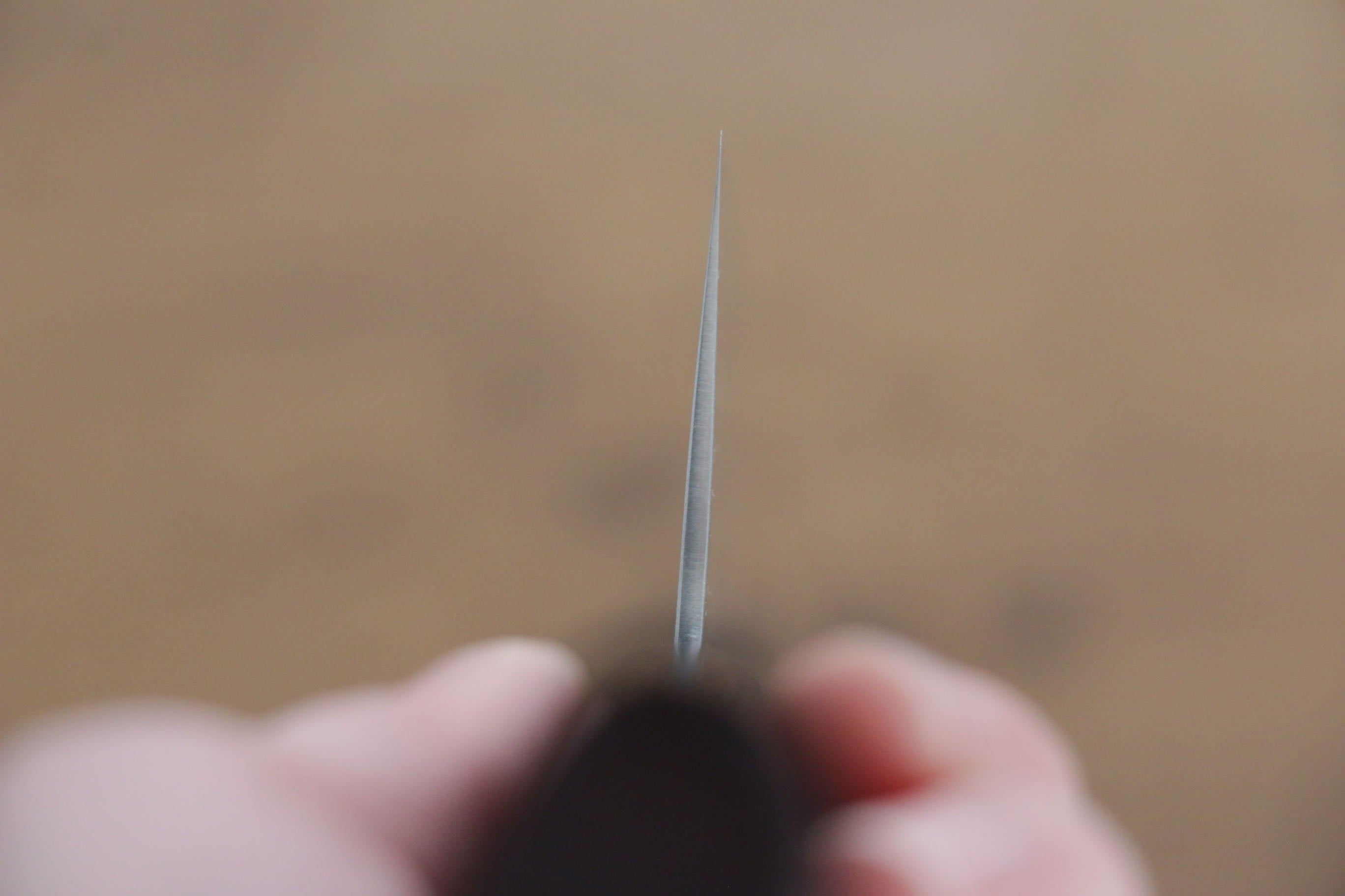 Seisuke SG2 Santoku 150mm Shitan Handle - Japanny - Best Japanese Knife