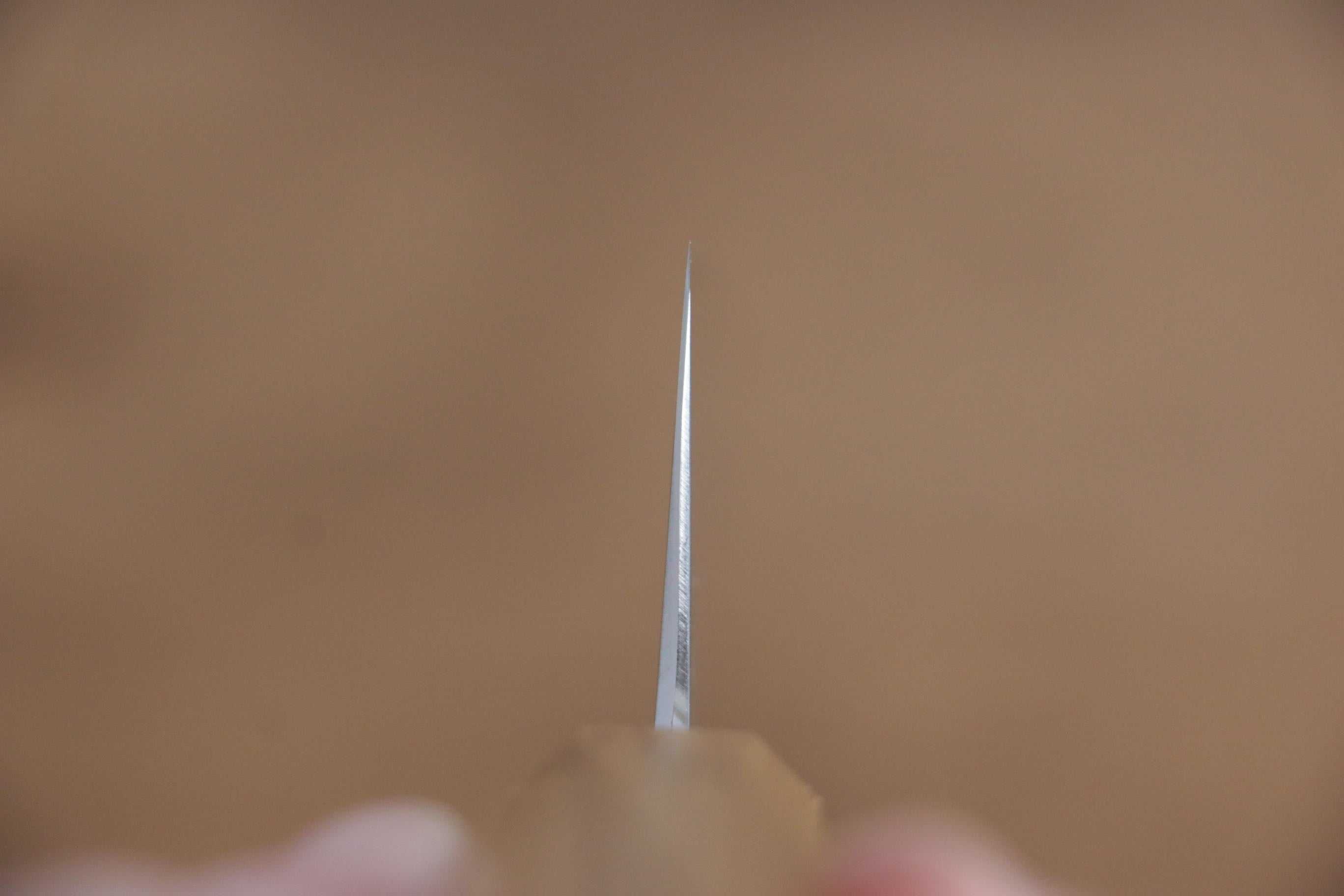 Jikko Fujisan Blue Steel No.2 Gyuto 210mm Oak Handle - Japanny - Best Japanese Knife